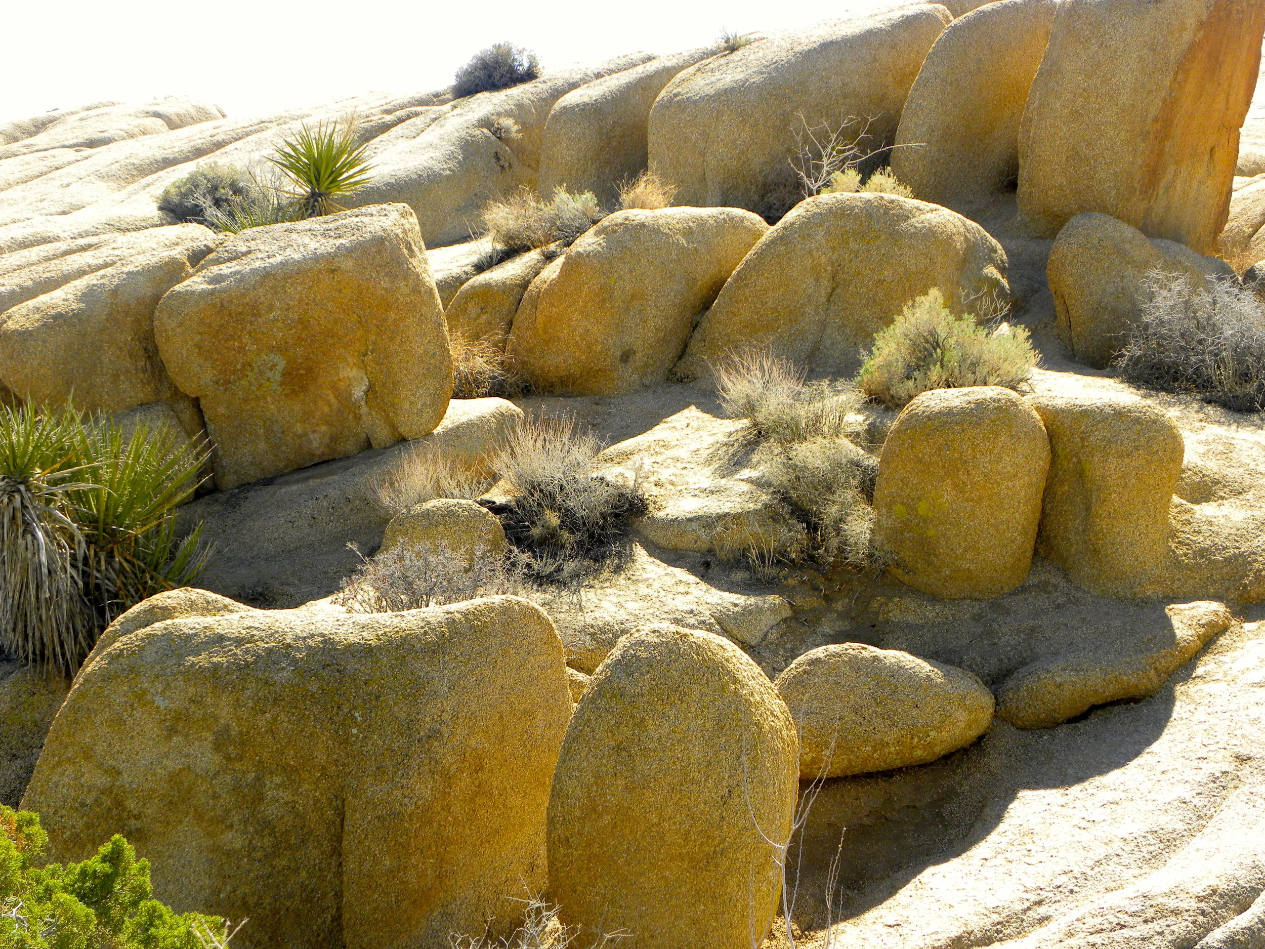 DSCN2032XXSMx 19.JPG