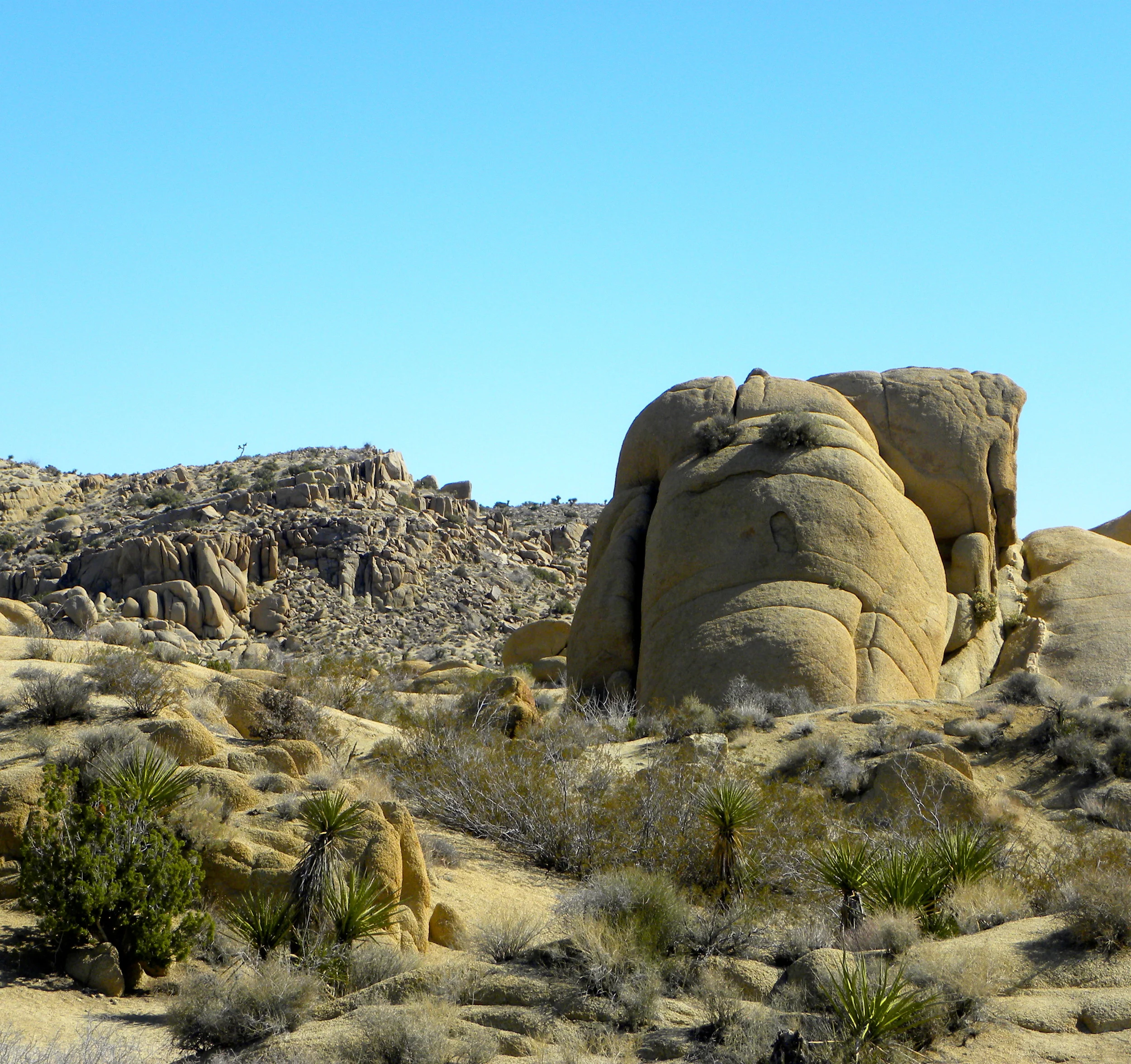 DSCN2032XXSMx 23.JPG