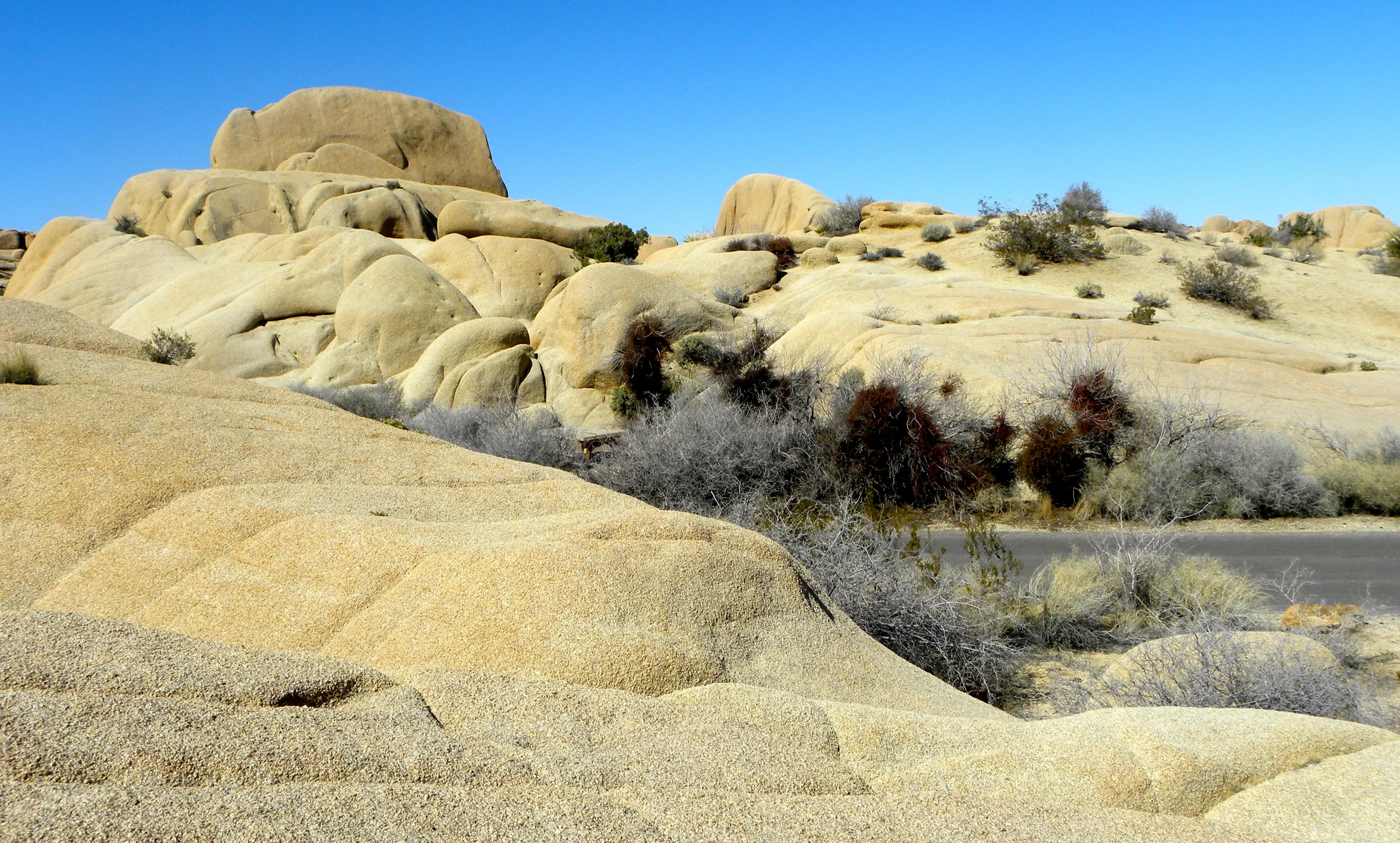 DSCN2032XXSMx 22.JPG