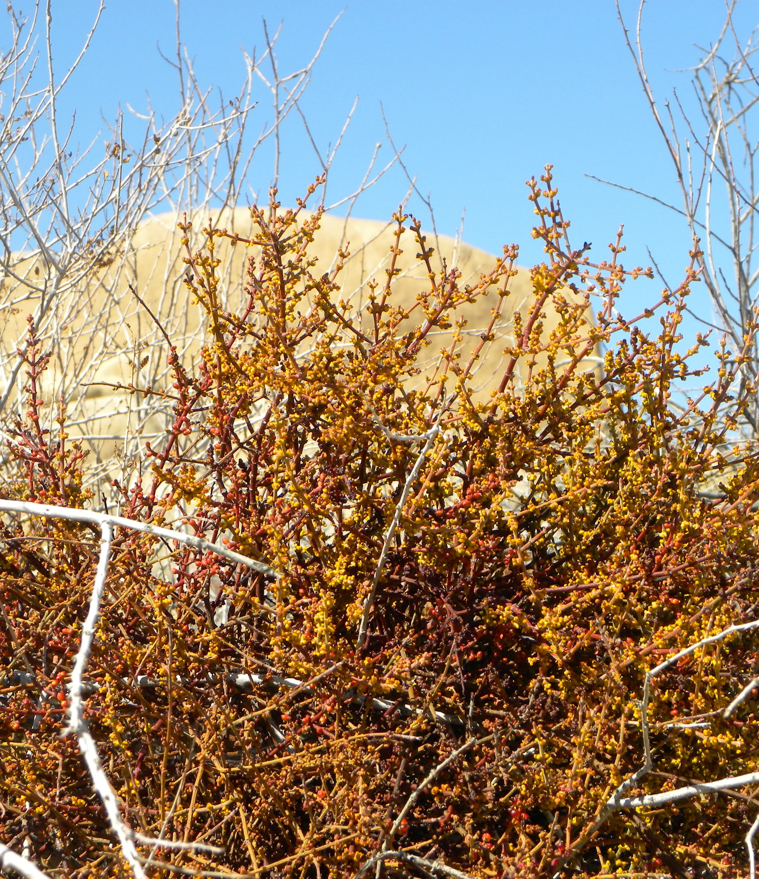 DSCN2032XXSMx 24.JPG