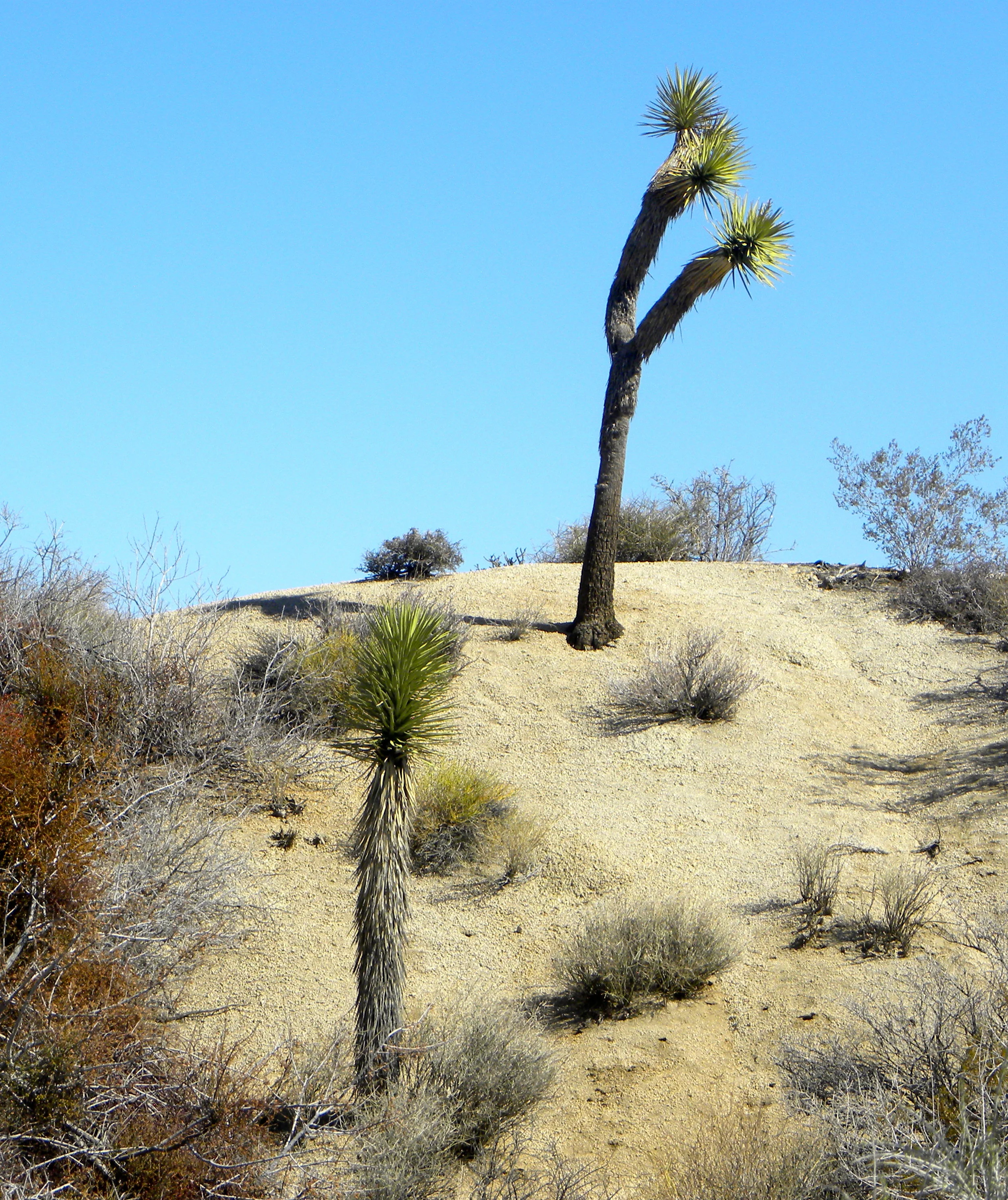 DSCN2032XXSMx 26.JPG