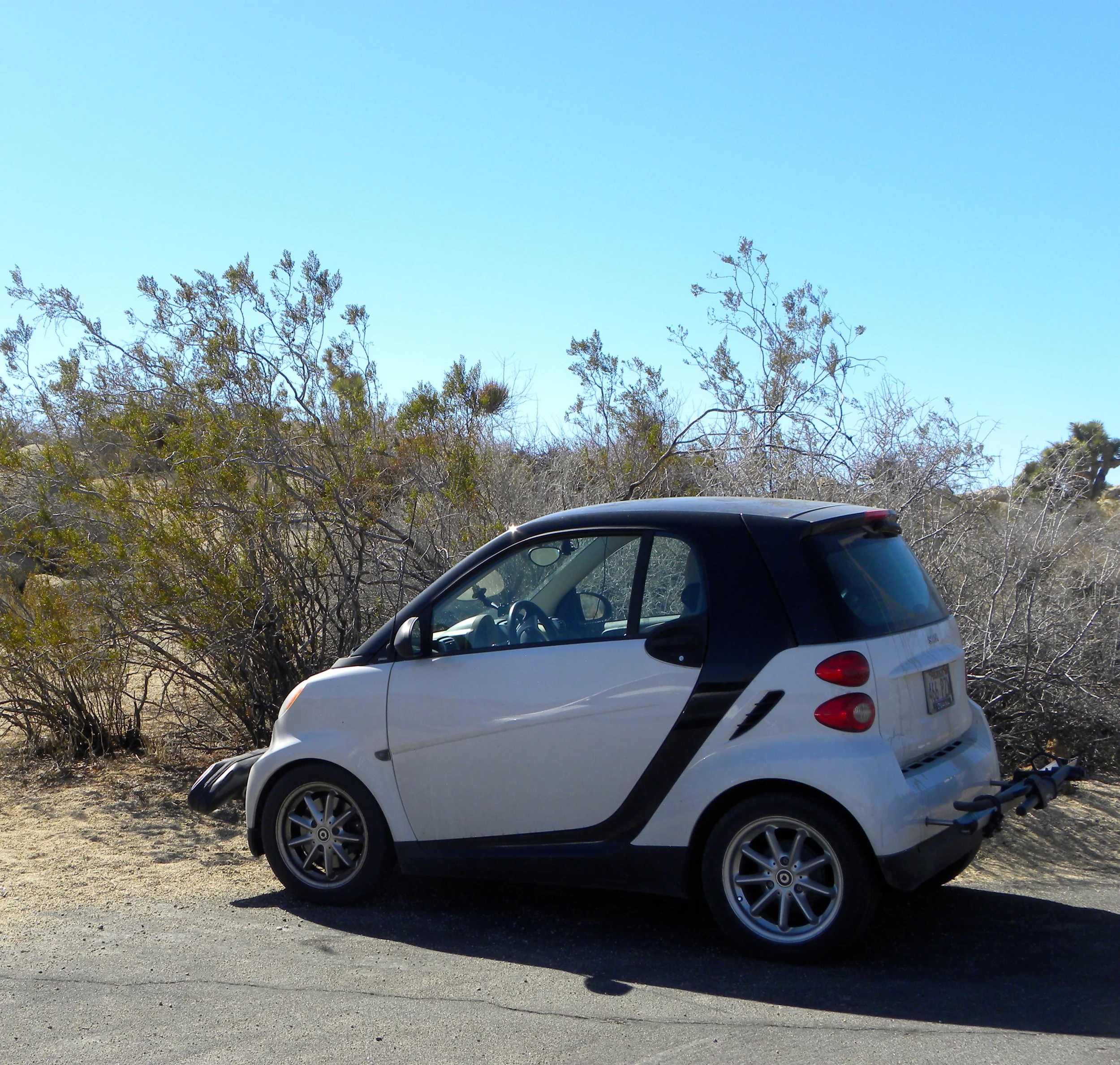 DSCN2032XXSMx 28.JPG