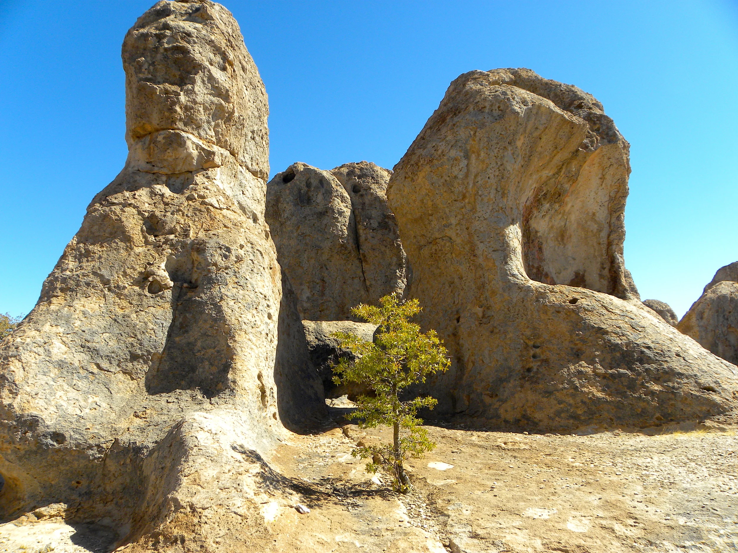 DSCN2032XXSMx 10.JPG