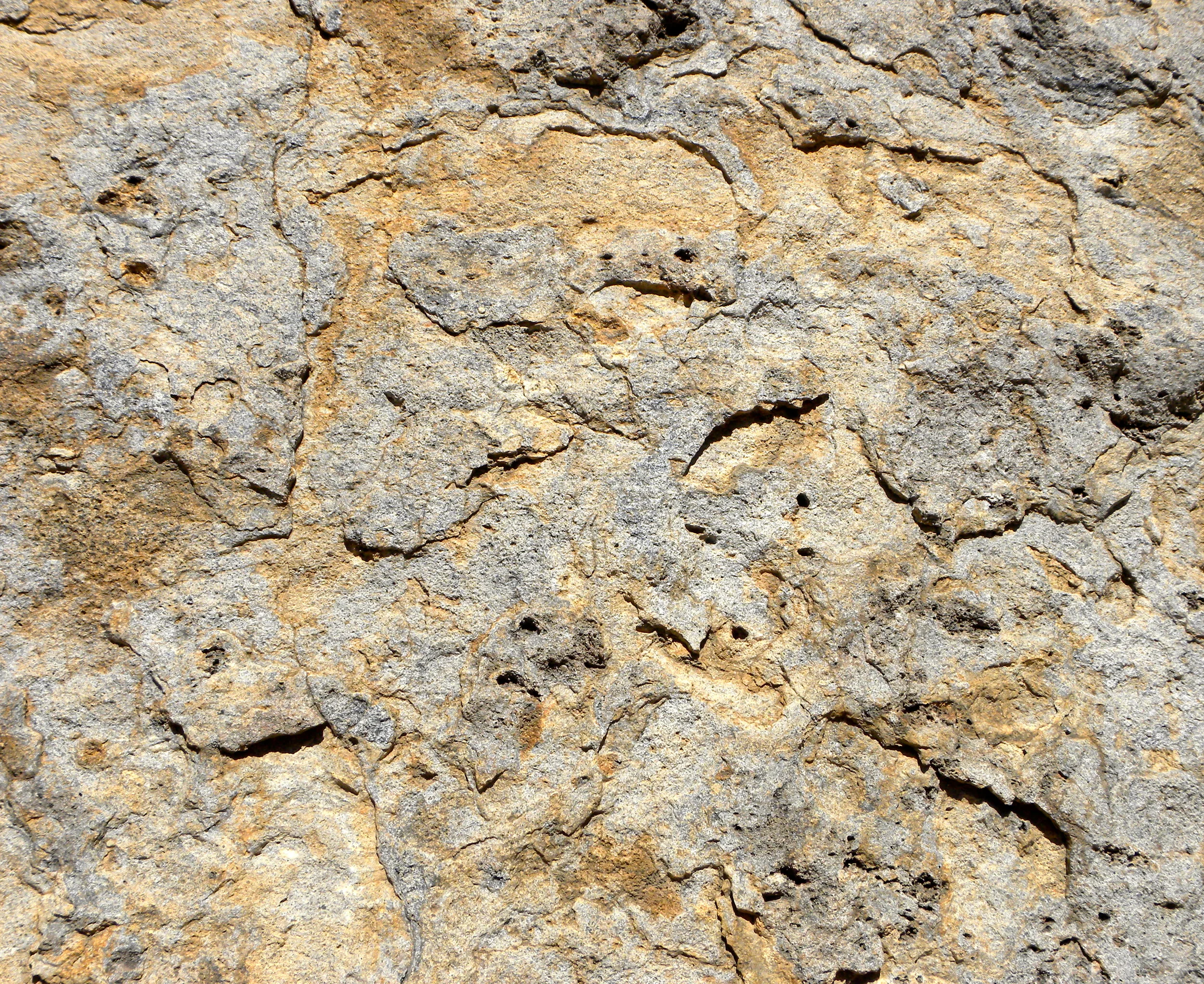 DSCN2032XXSMx 12.JPG