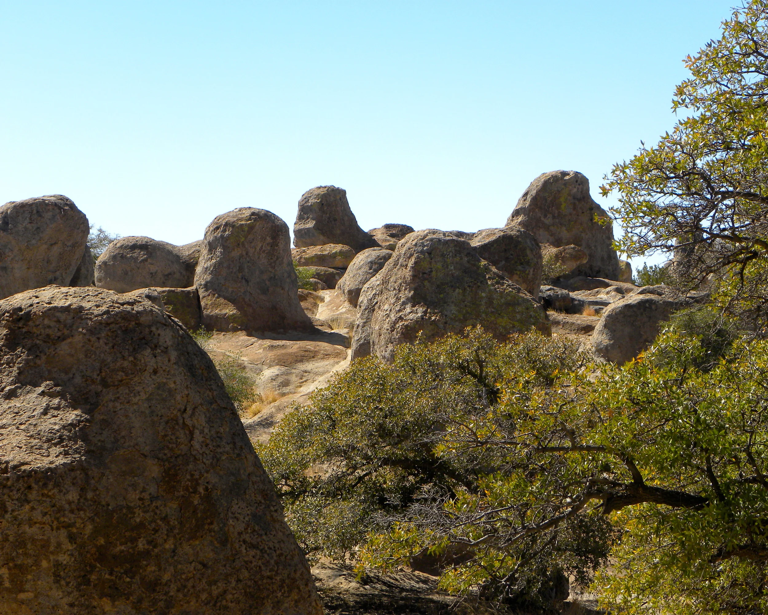 DSCN2032XXSMx 13.JPG