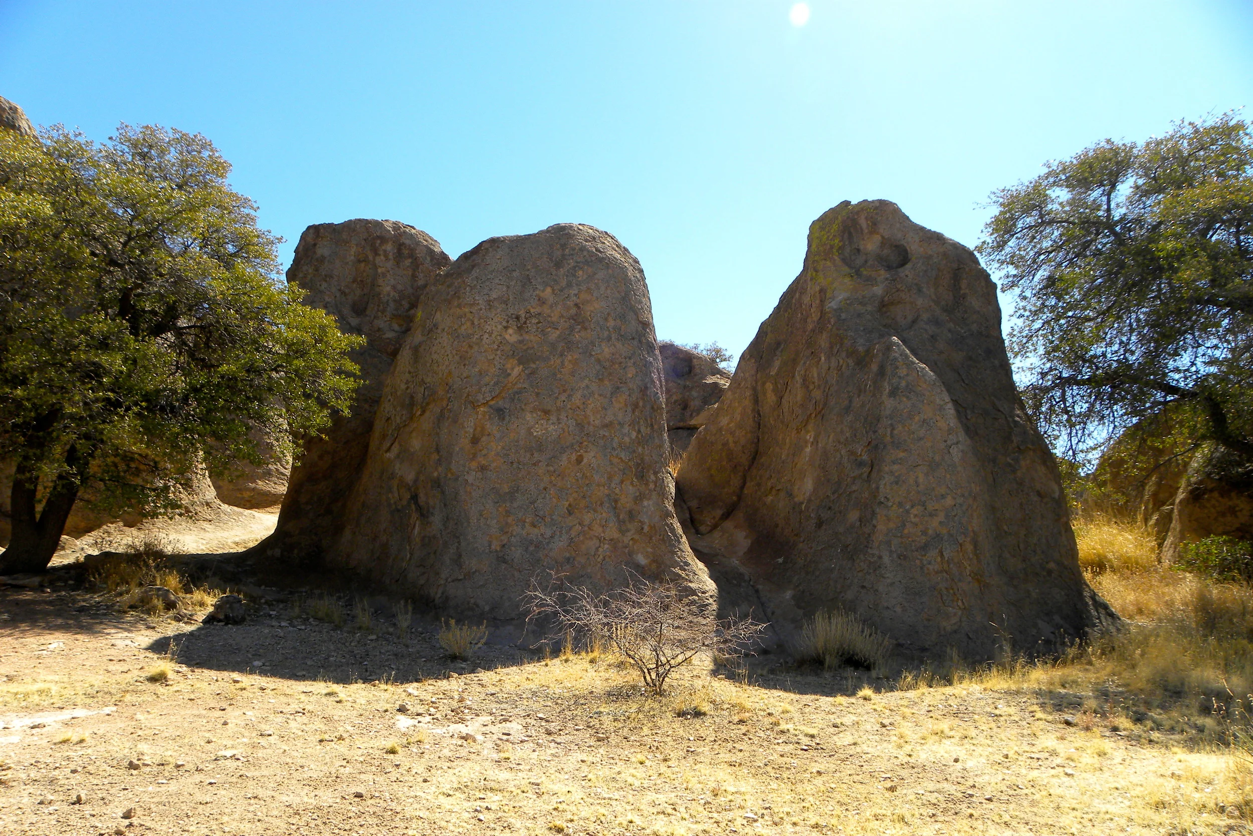 DSCN2032XXSMx 14.JPG