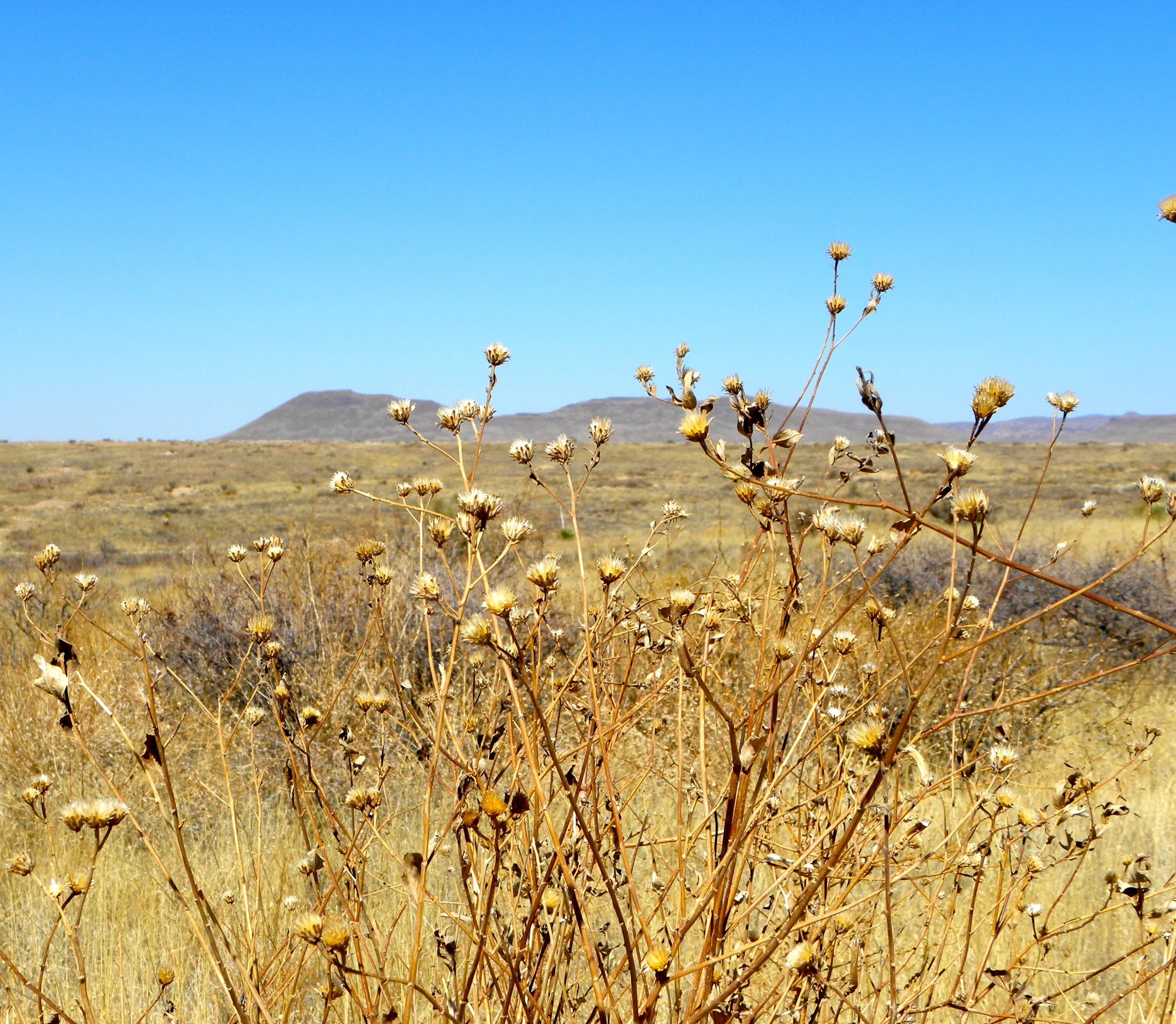 DSCN2032XXSMx 16.JPG