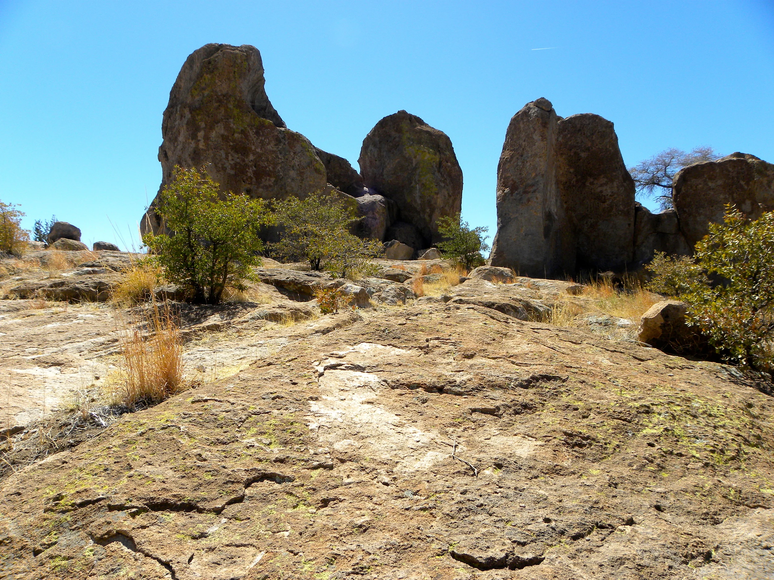 DSCN2032XXSMx 20.JPG