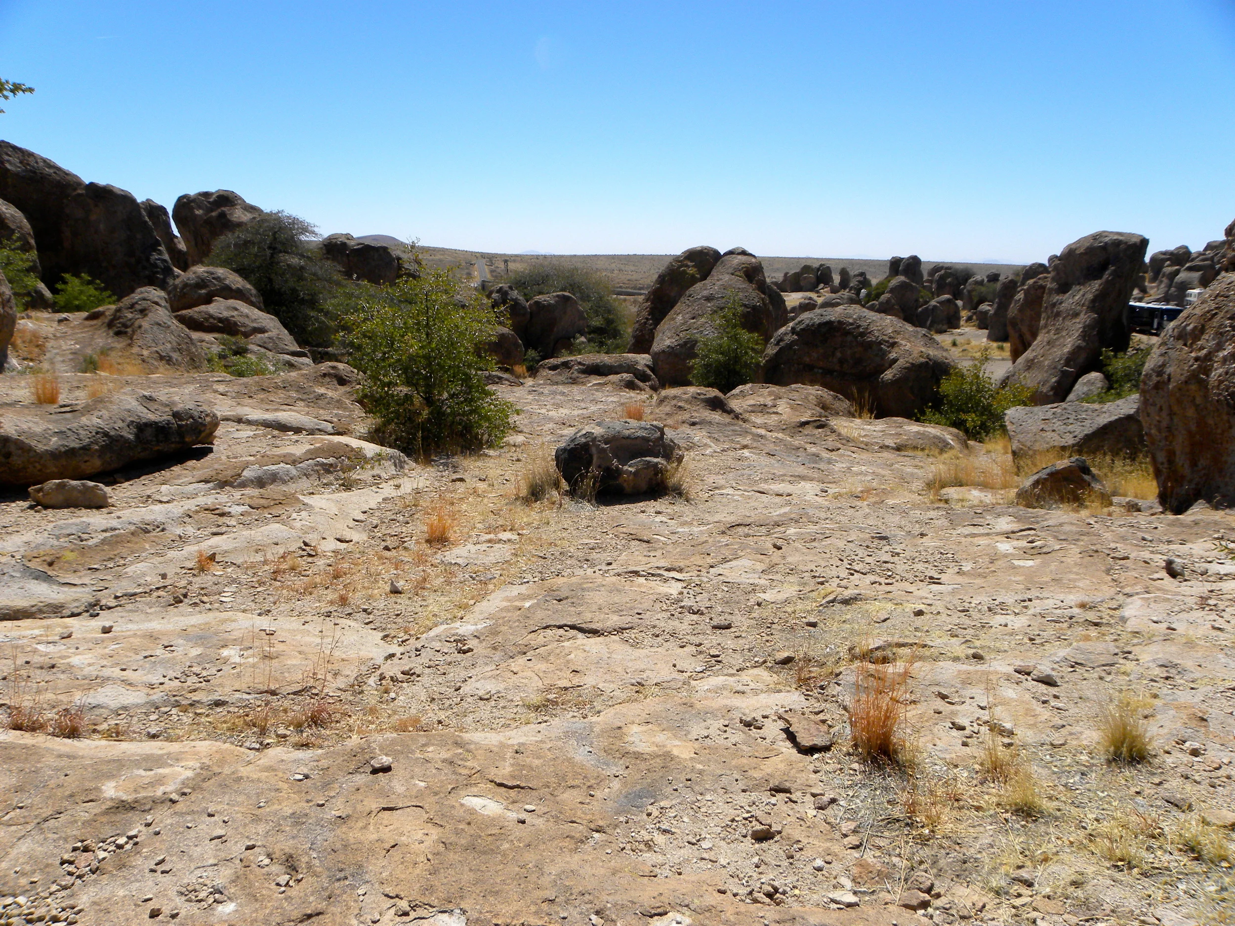 DSCN2032XXSMx 21.JPG