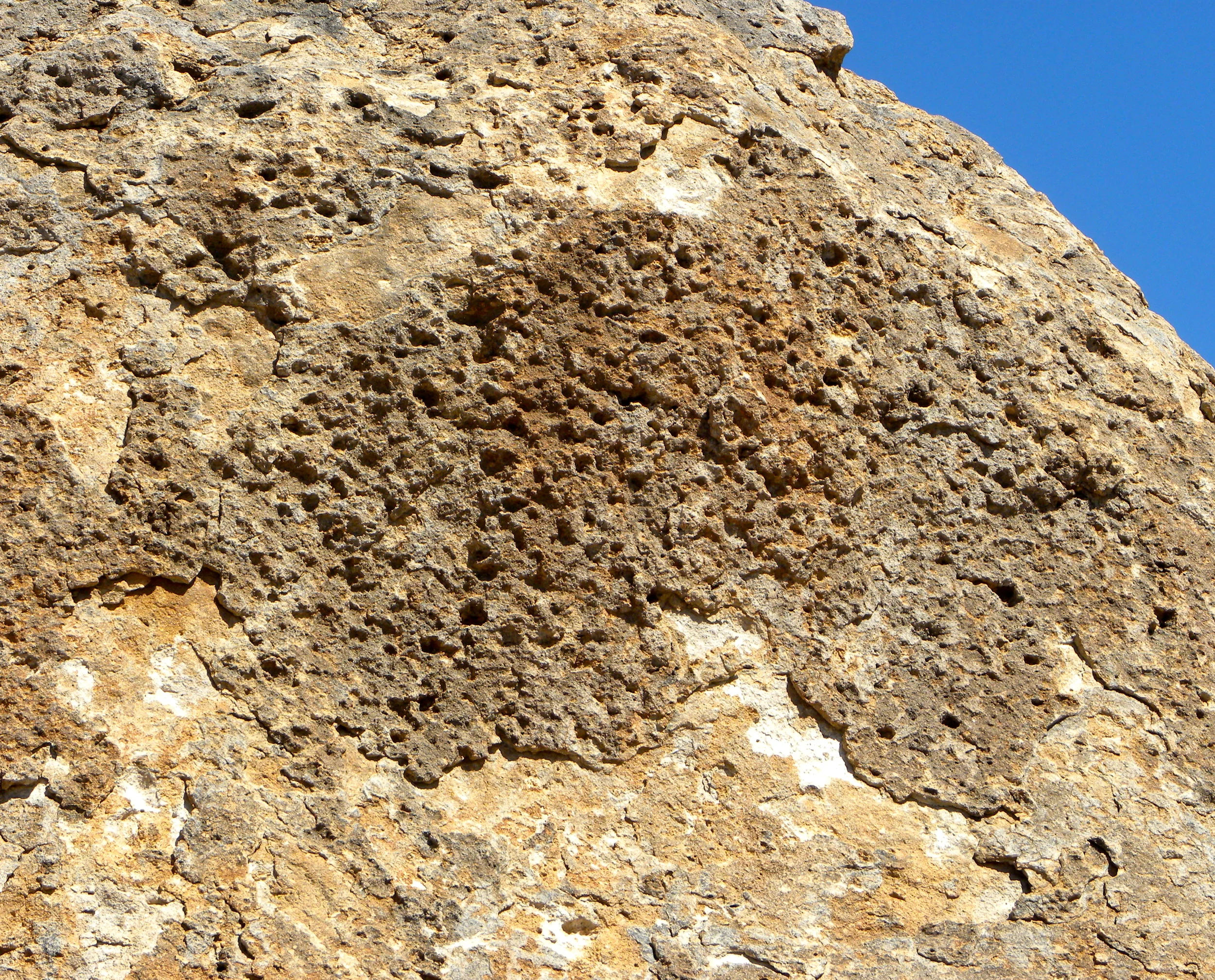 DSCN2032XXSMx 22.JPG