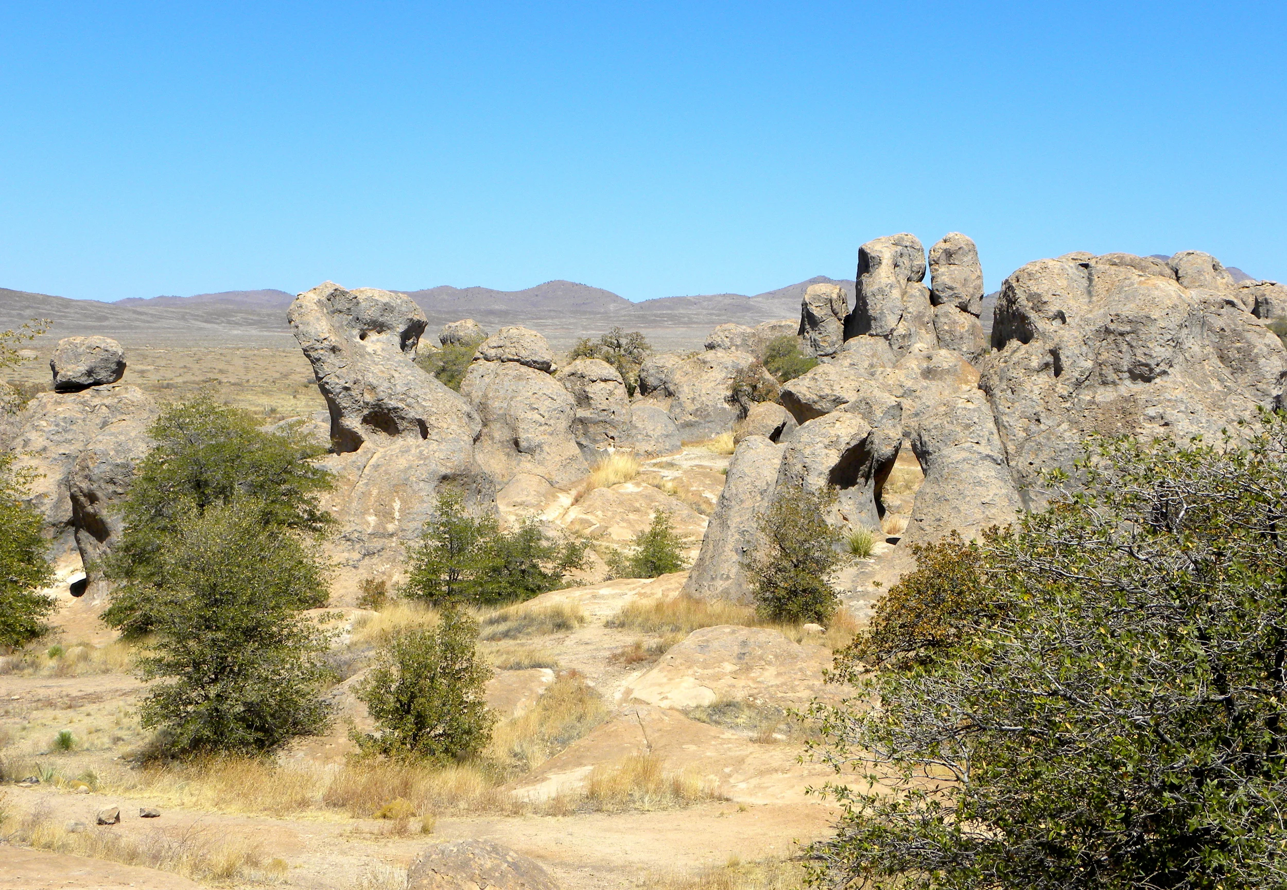 DSCN2032XXSMx 18.JPG