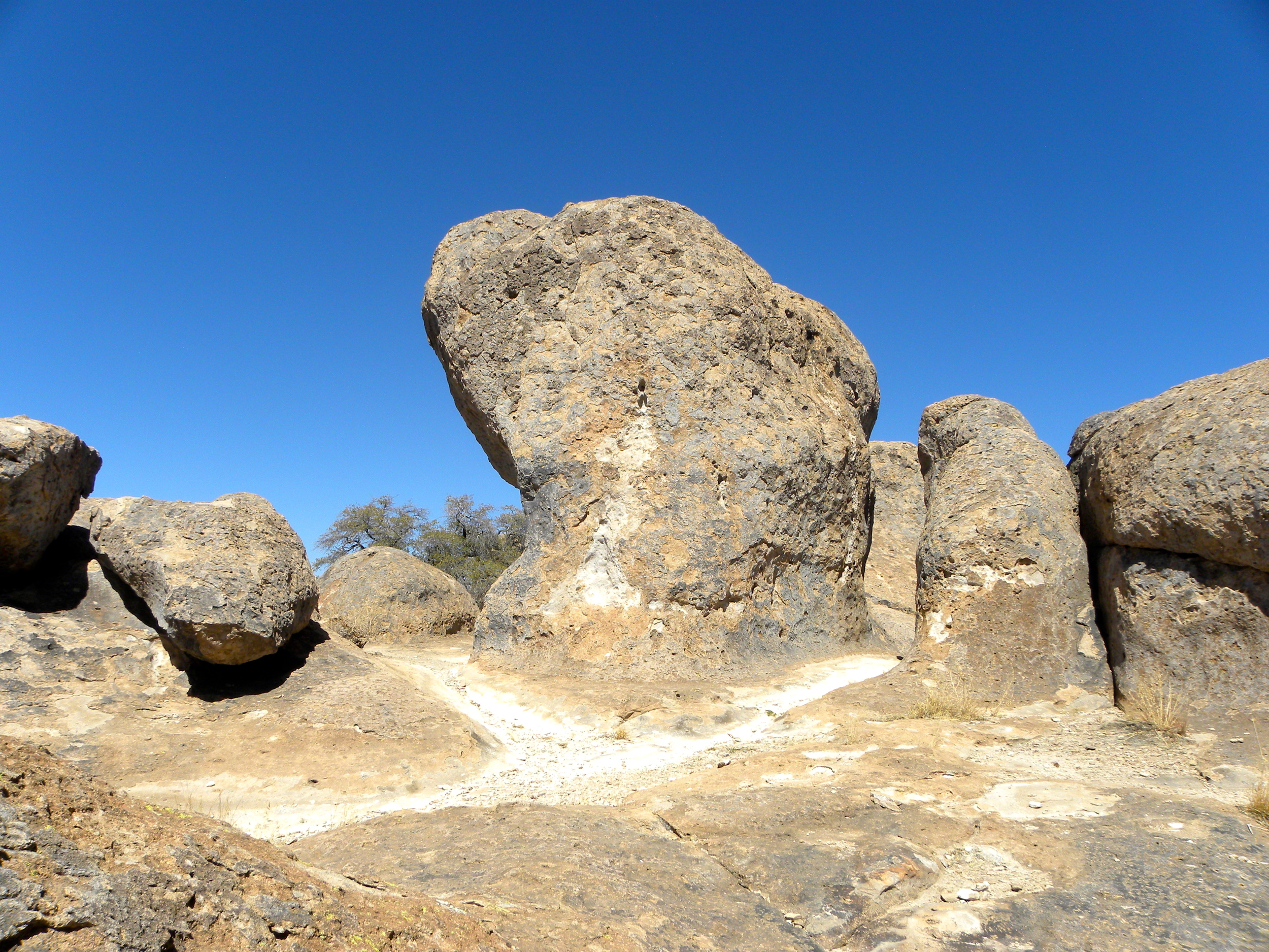 DSCN2032XXSMx 24.JPG