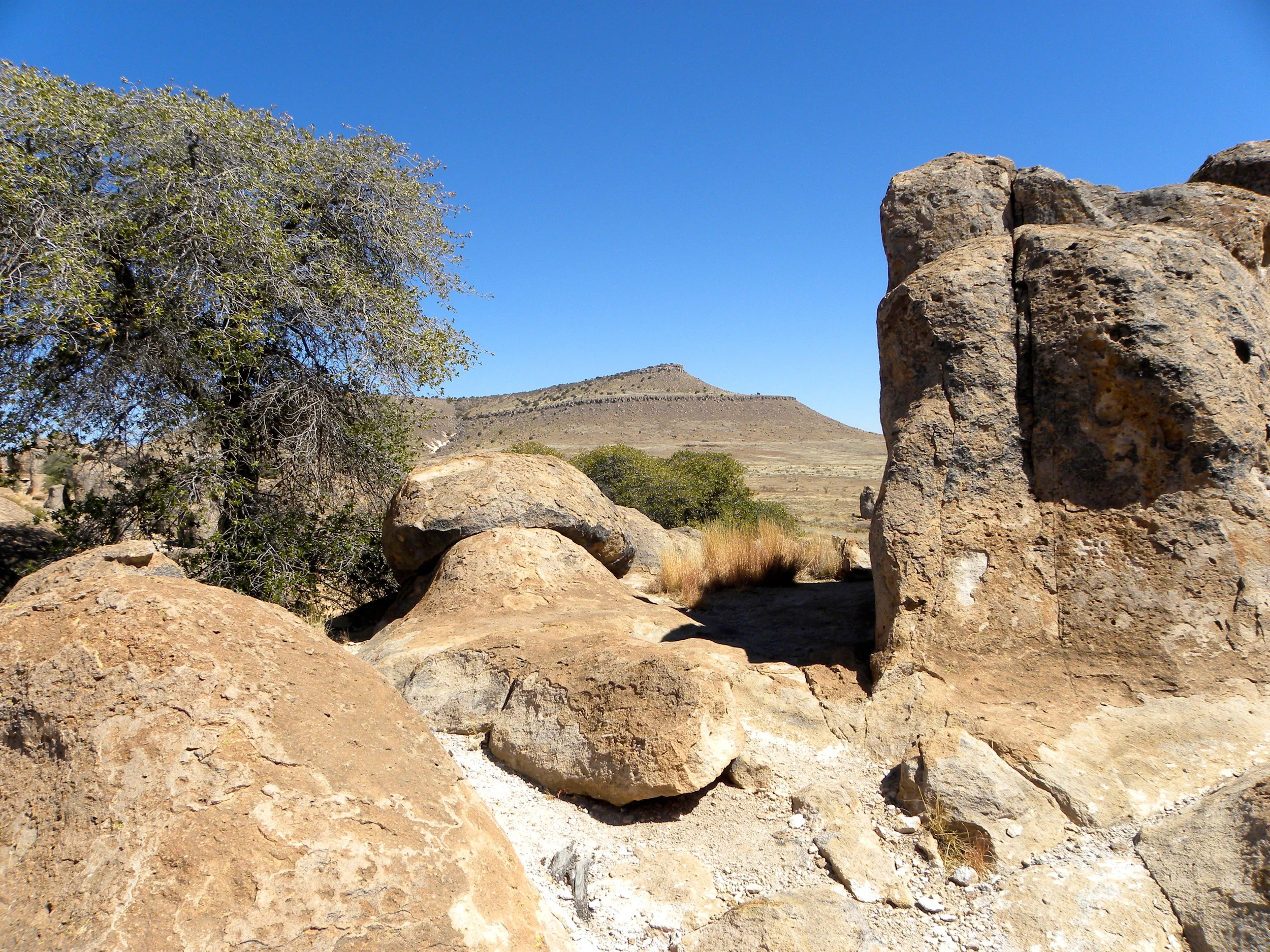 DSCN2032XXSMx 26.JPG