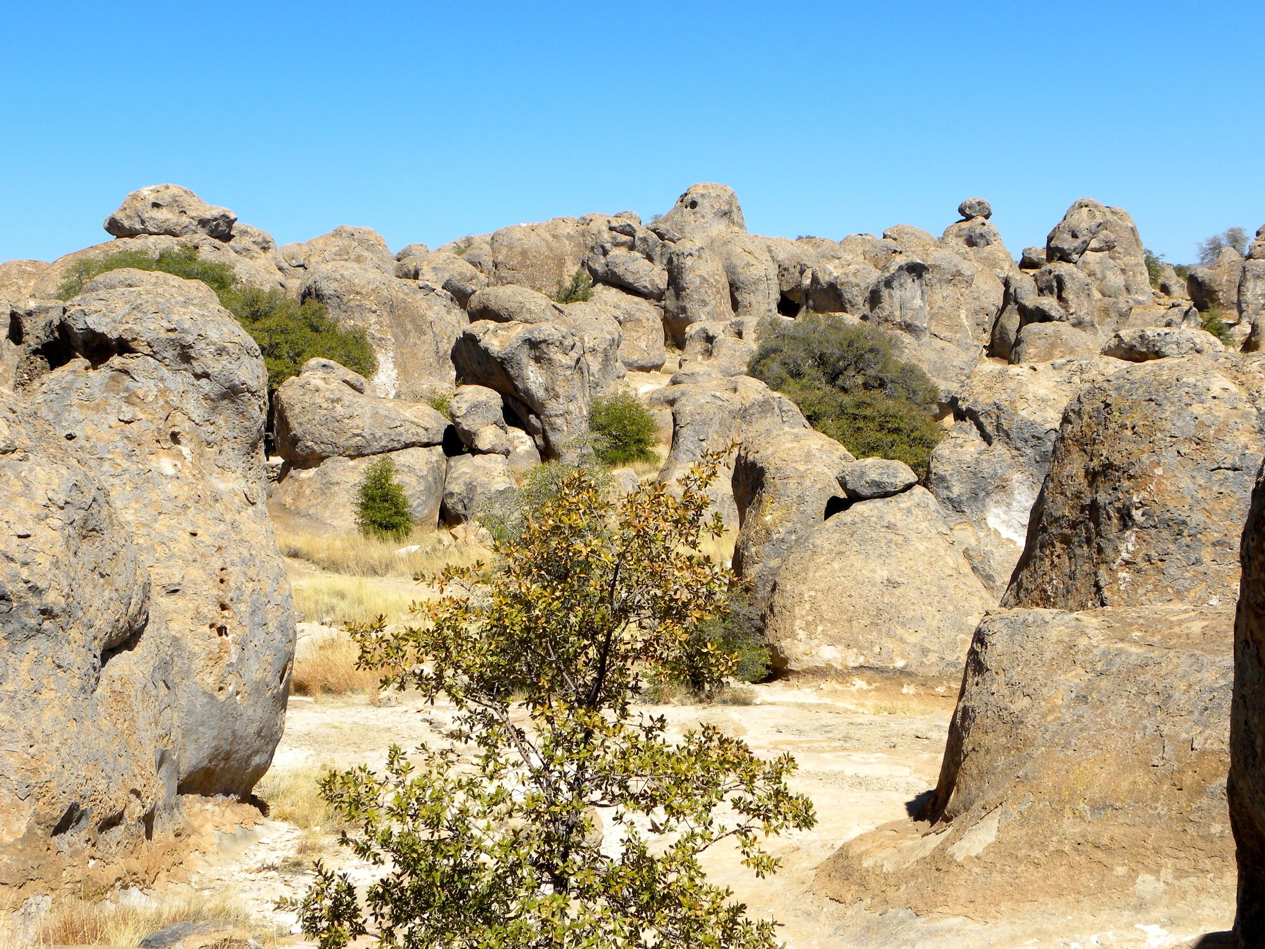 DSCN2032XXSMx 27.JPG