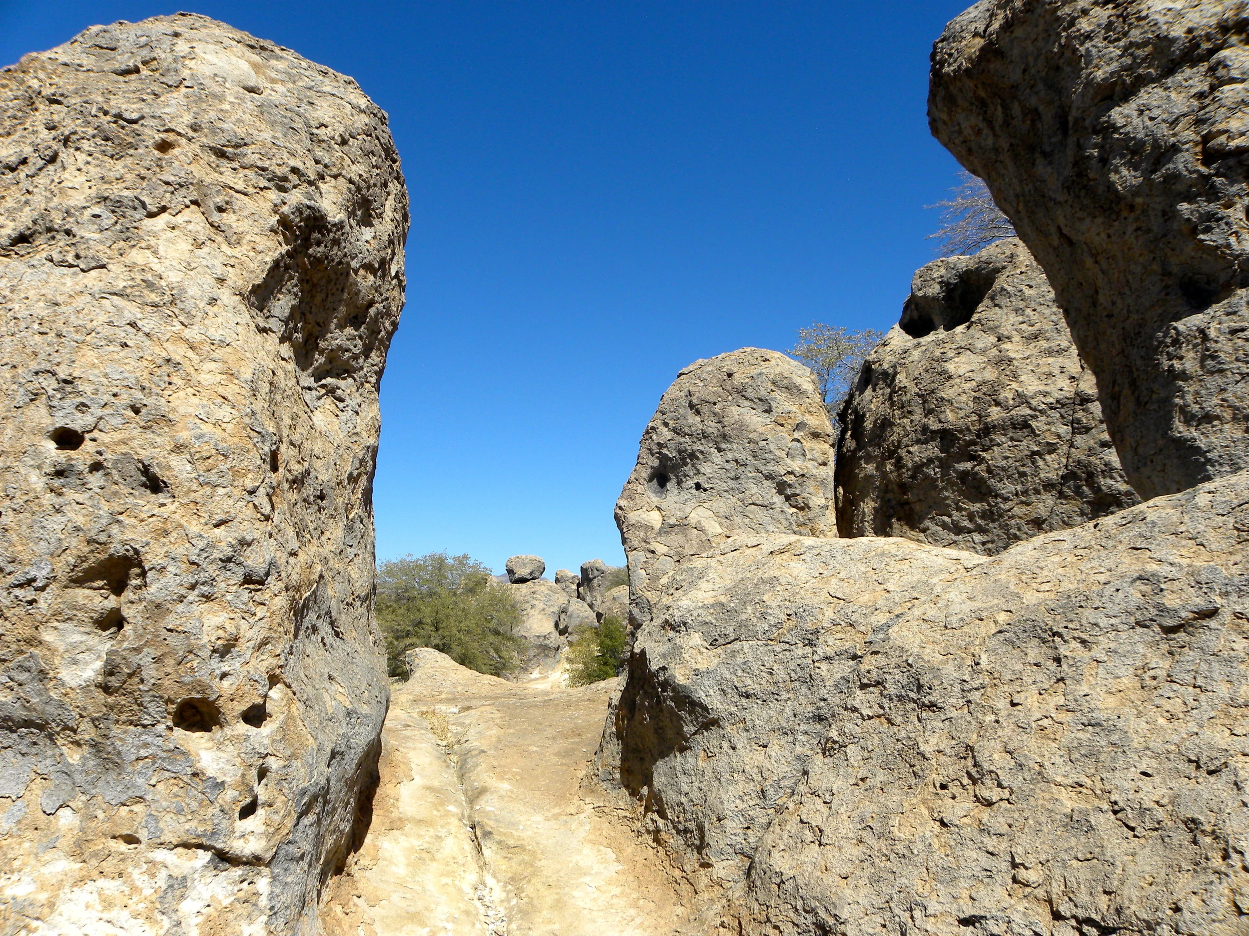 DSCN2032XXSMx 30.JPG