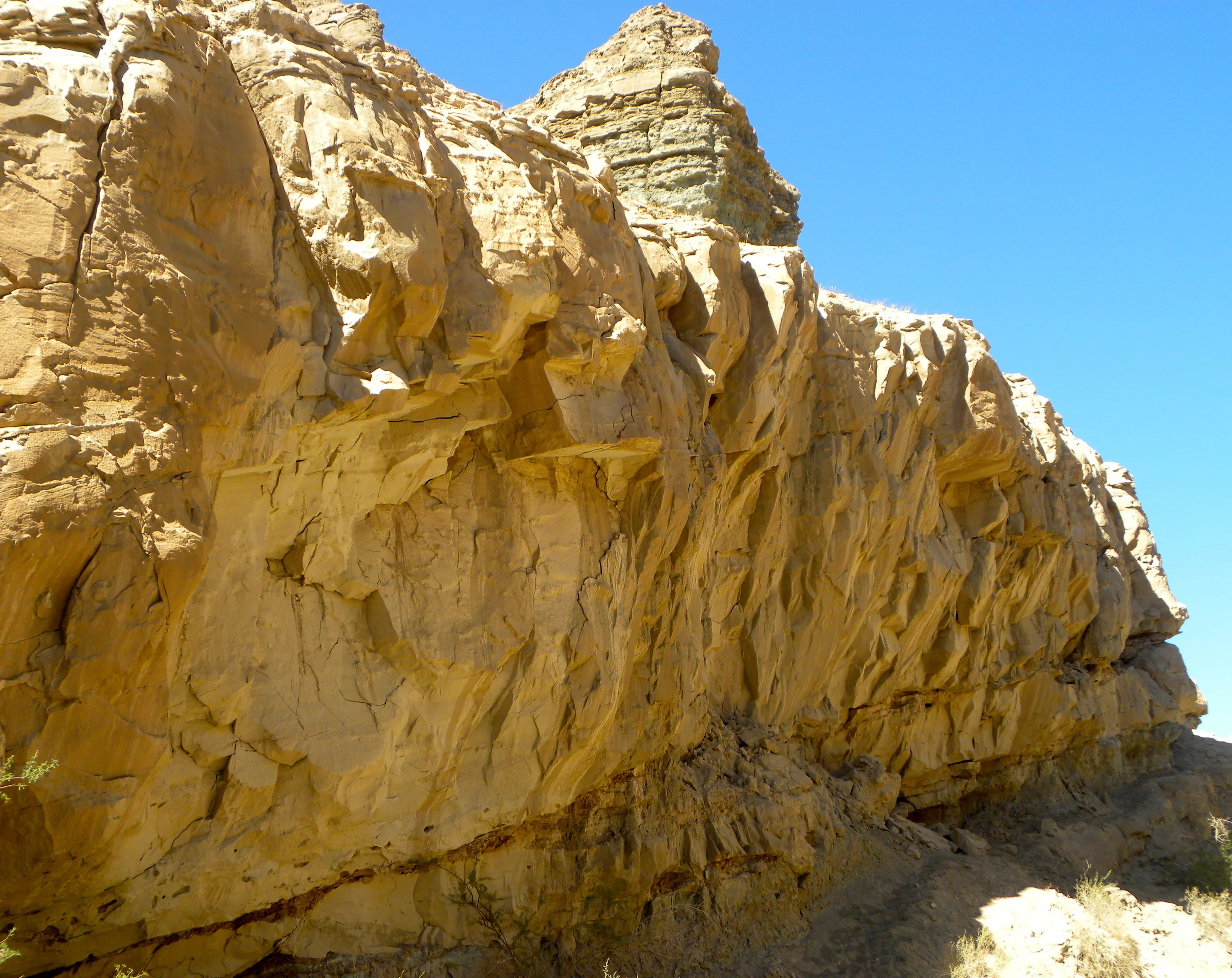 DSCN2032XXSMx 11.JPG