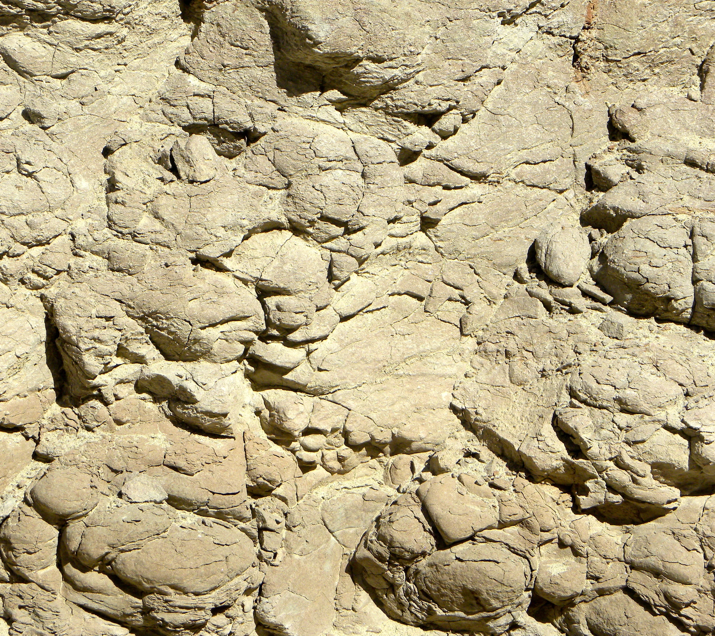 DSCN2032XXSMx 12.JPG