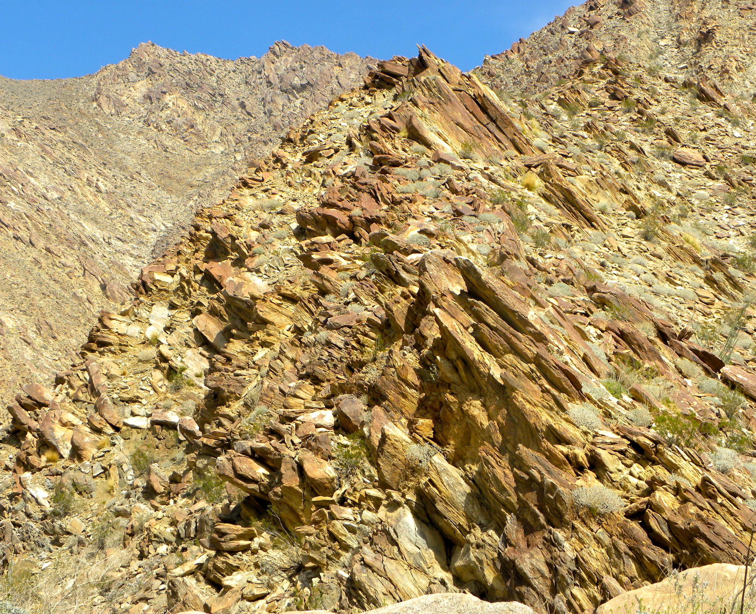 DSCN2032XXSMx 11.JPG