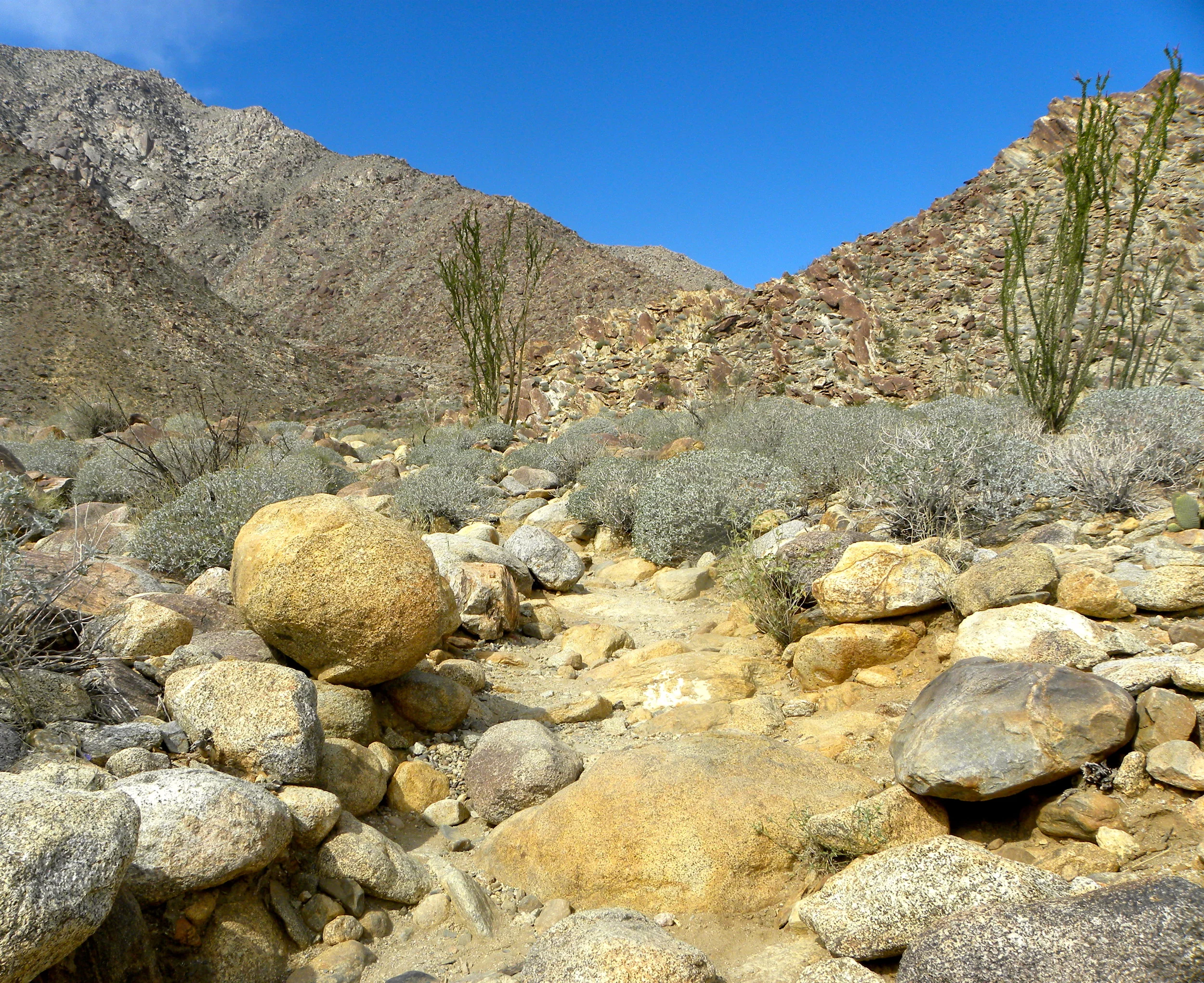 DSCN2032XXSMx 10.JPG