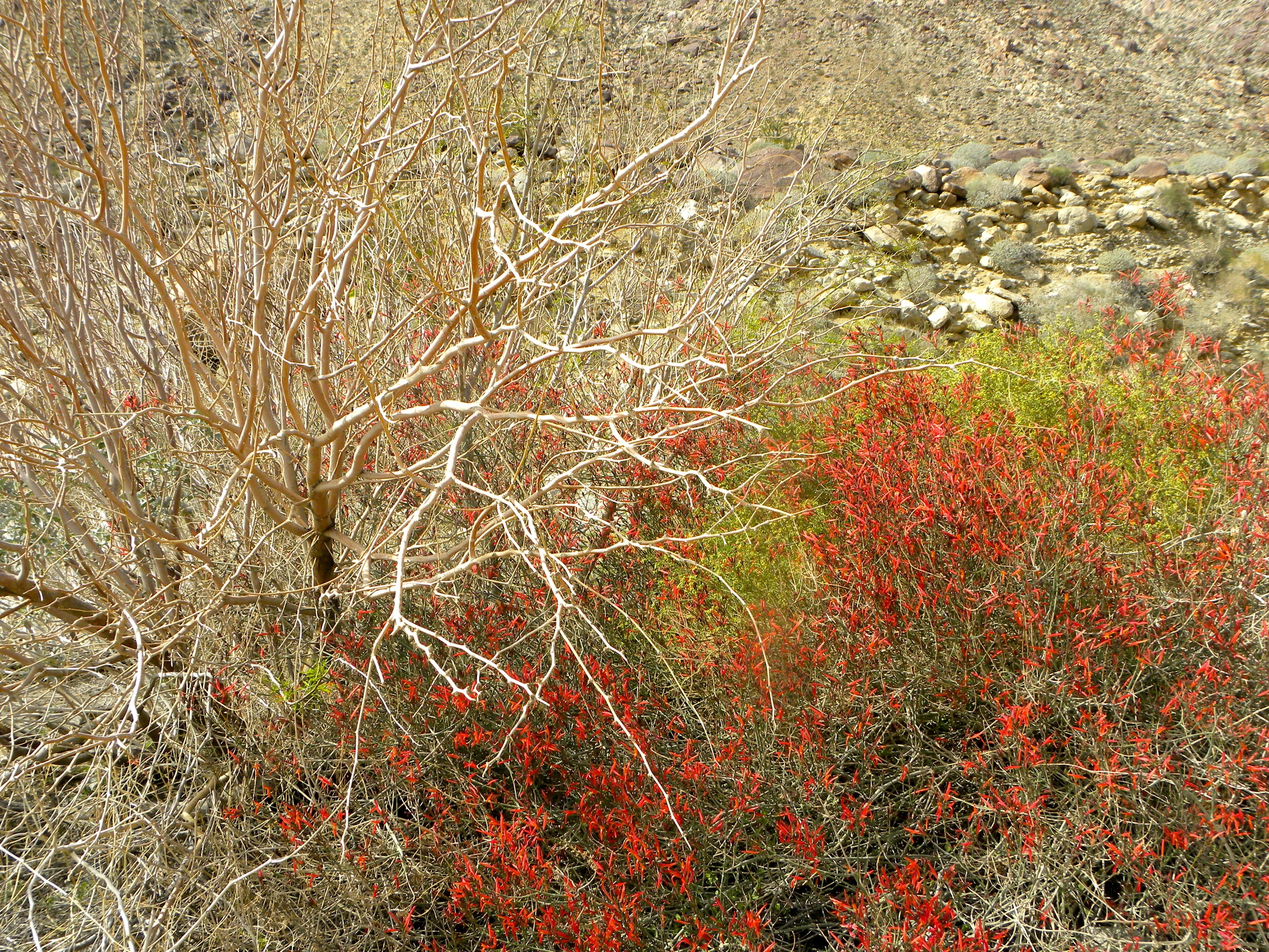 DSCN2032XXSMx 12.JPG