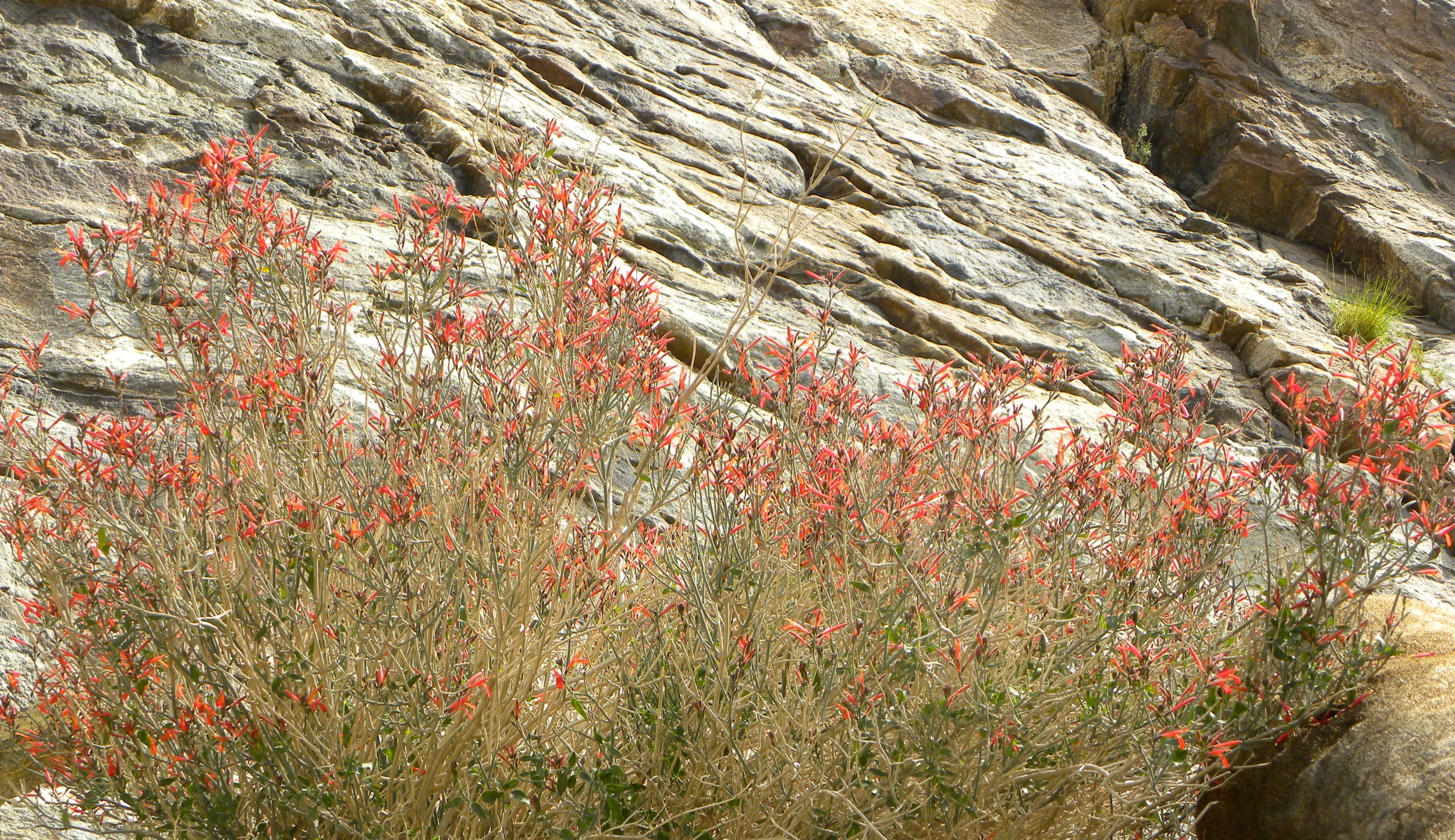 DSCN2032XXSMx 14.JPG