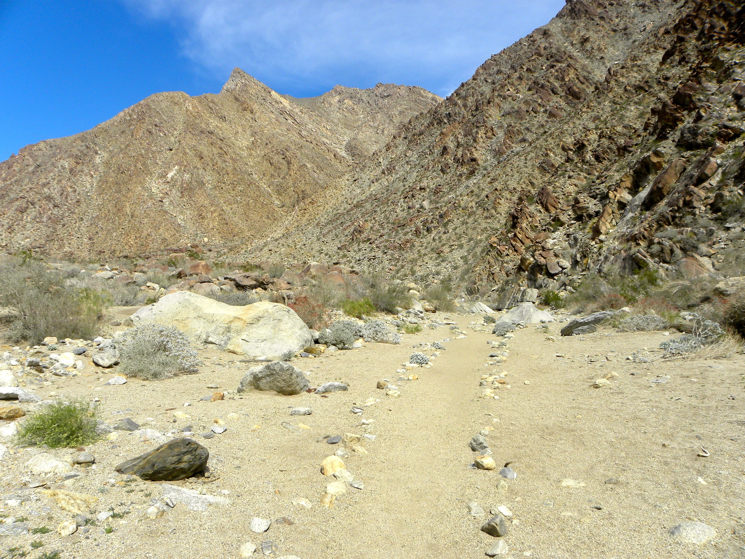 DSCN2032XXSMx 13.JPG