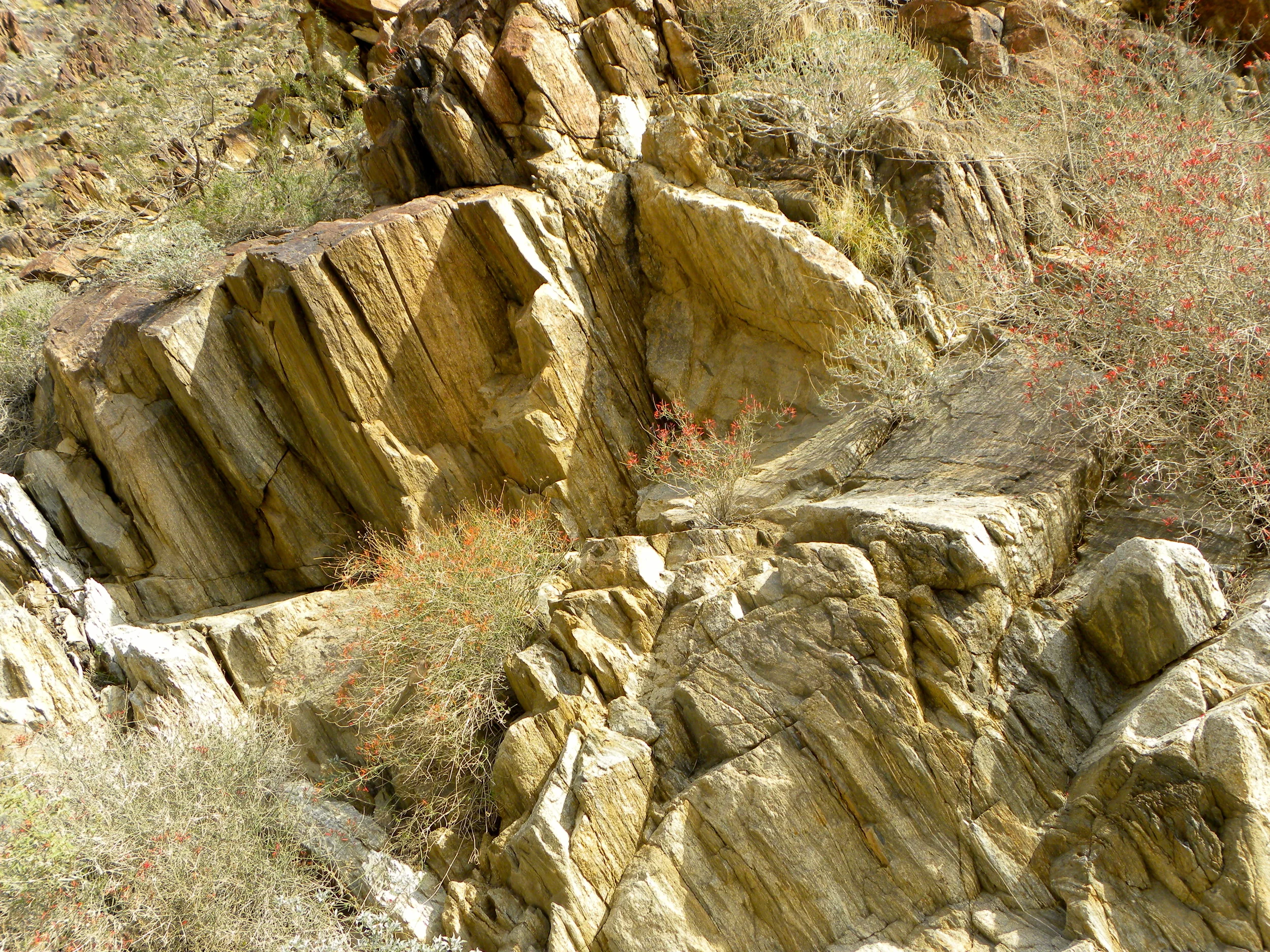 DSCN2032XXSMx 16.JPG