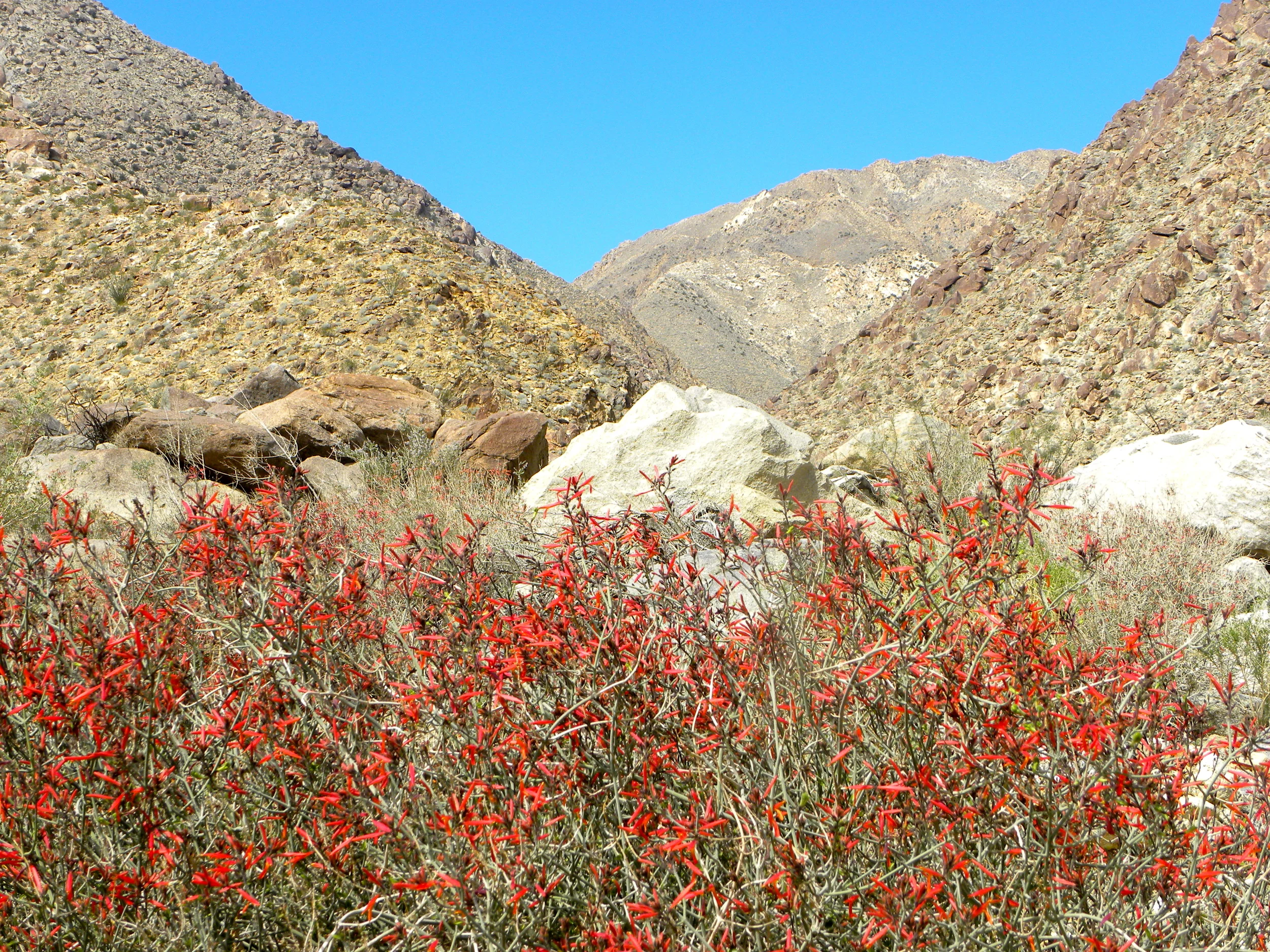 DSCN2032XXSMx 15.JPG