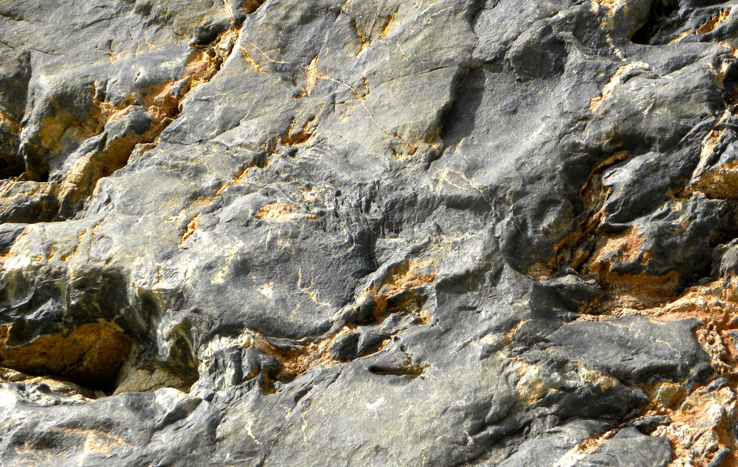 DSCN2032XXSMx 17.JPG