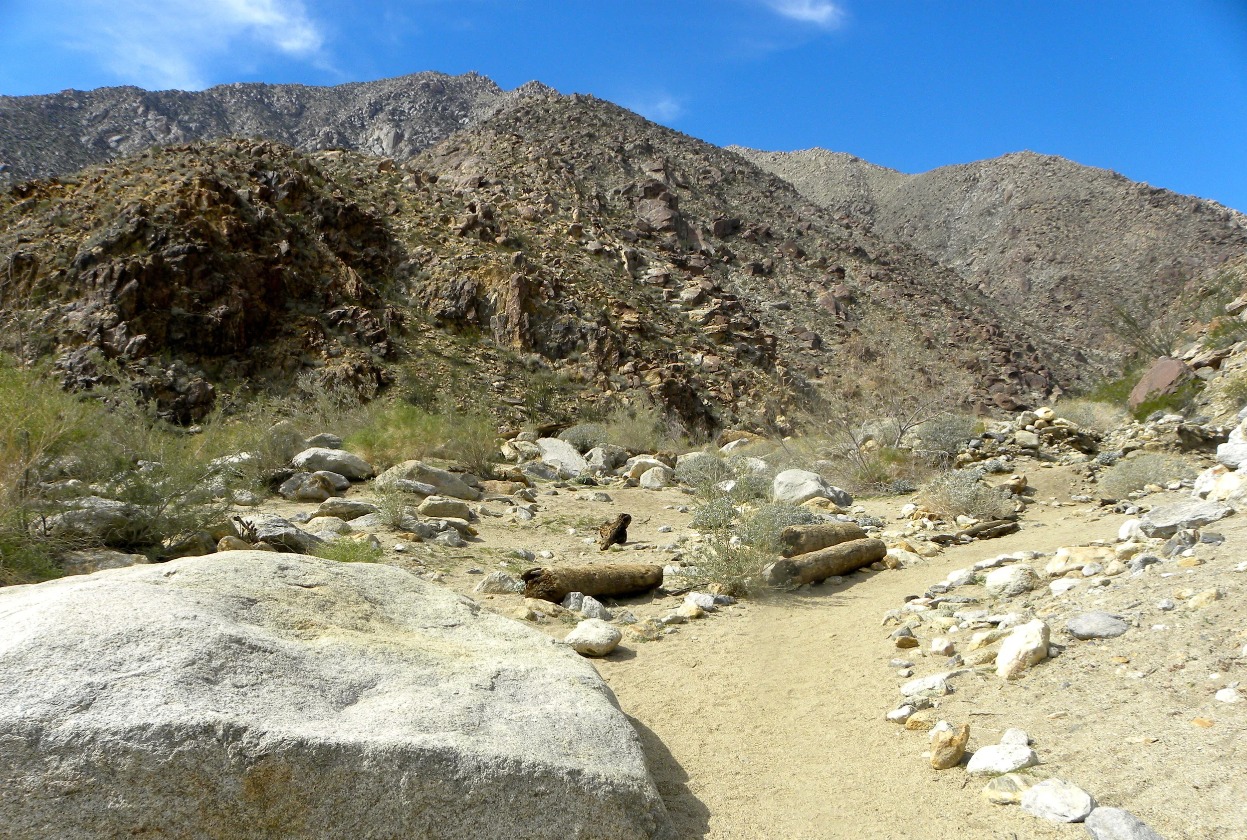 DSCN2032XXSMx 19.JPG