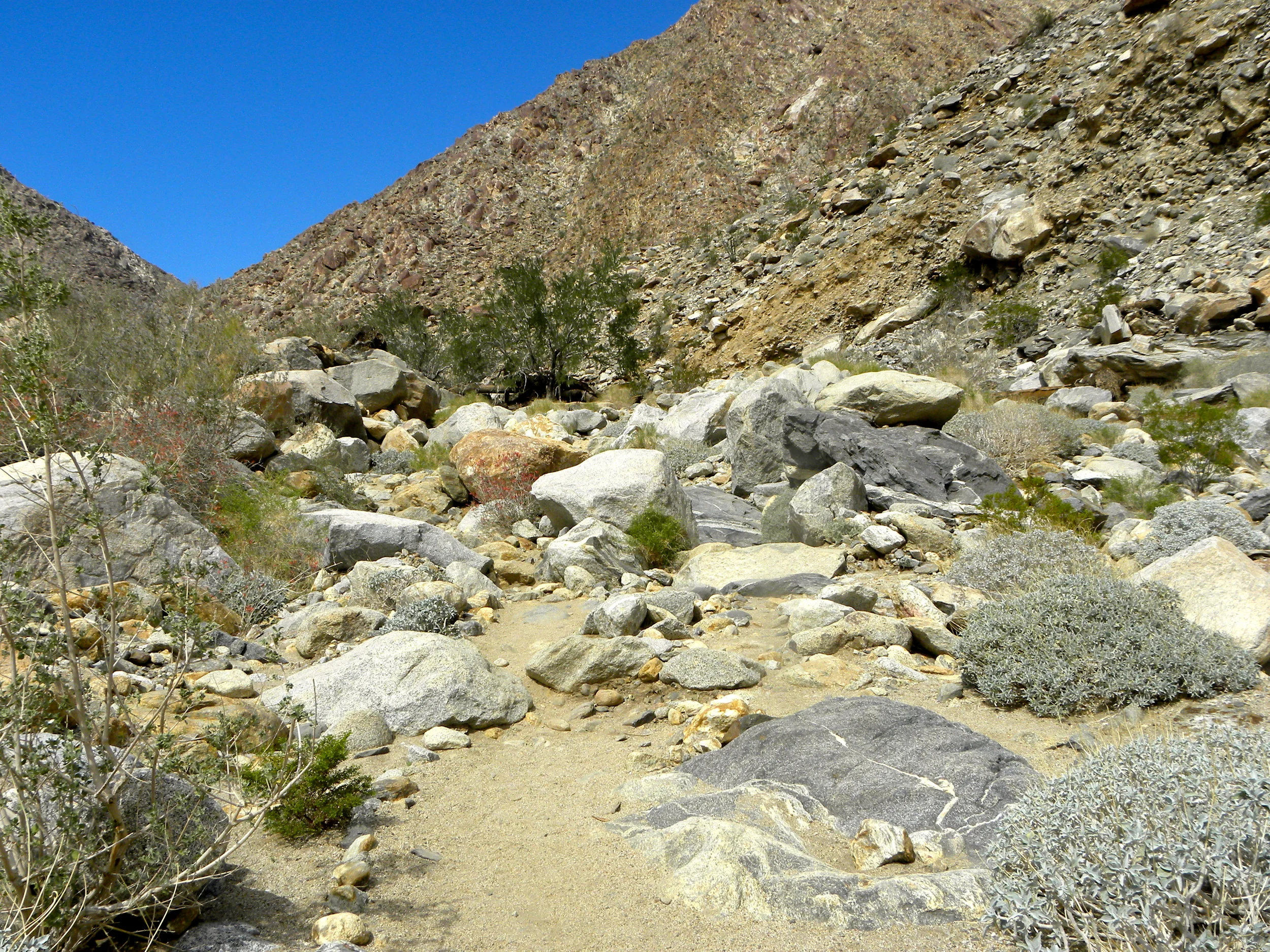 DSCN2032XXSMx 18.JPG