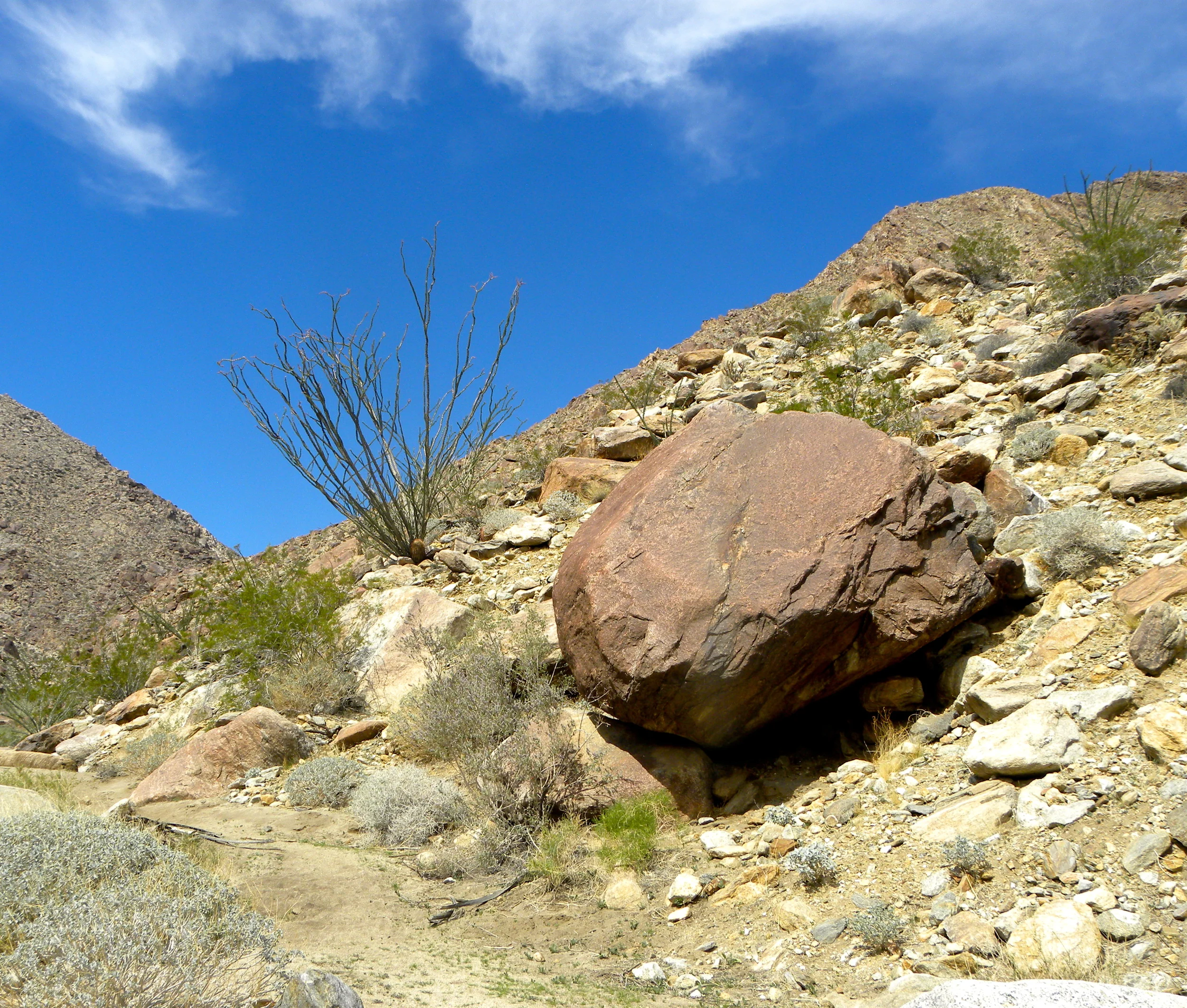 DSCN2032XXSMx 20.JPG