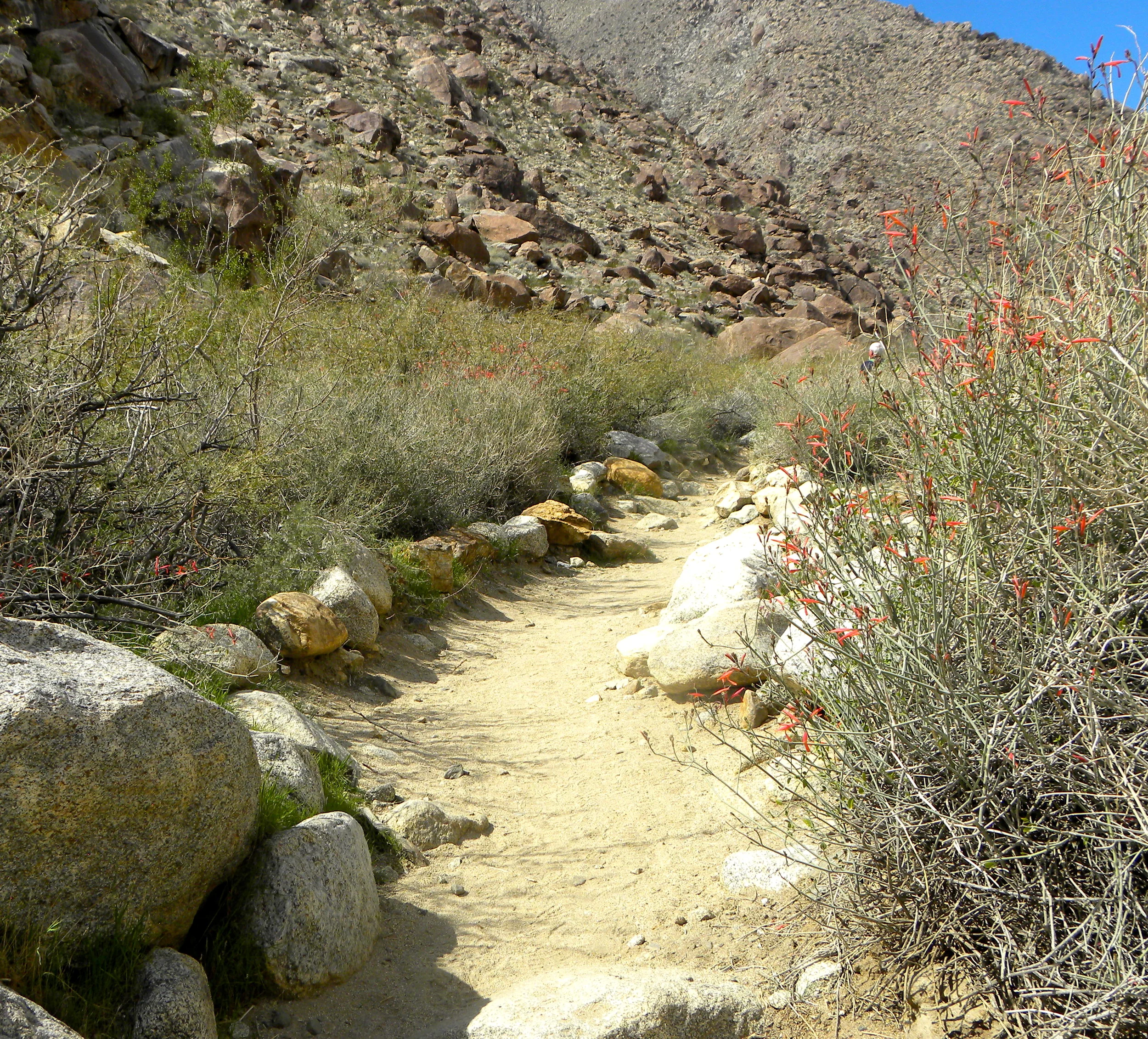 DSCN2032XXSMx 24.JPG