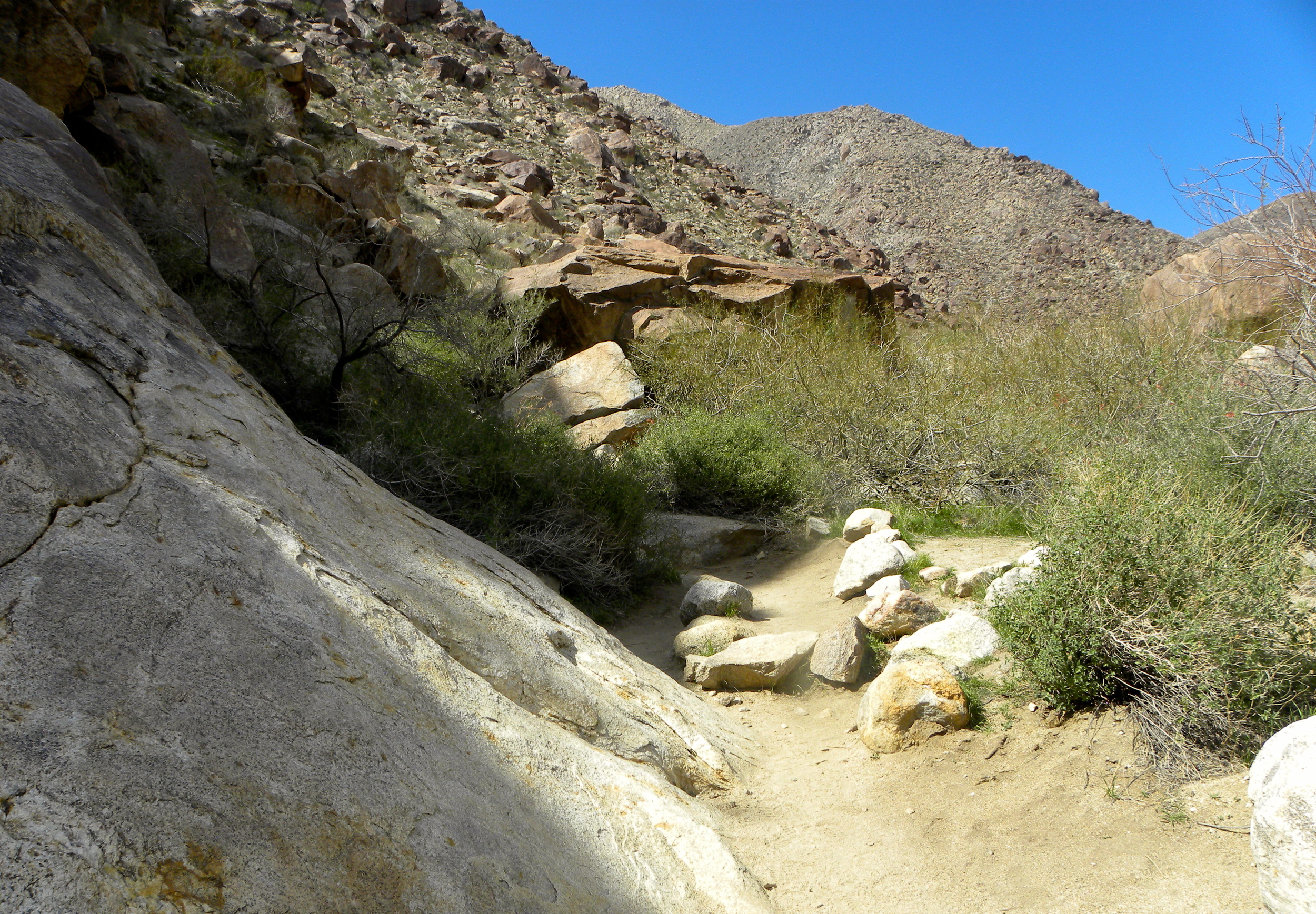 DSCN2032XXSMx 26.JPG