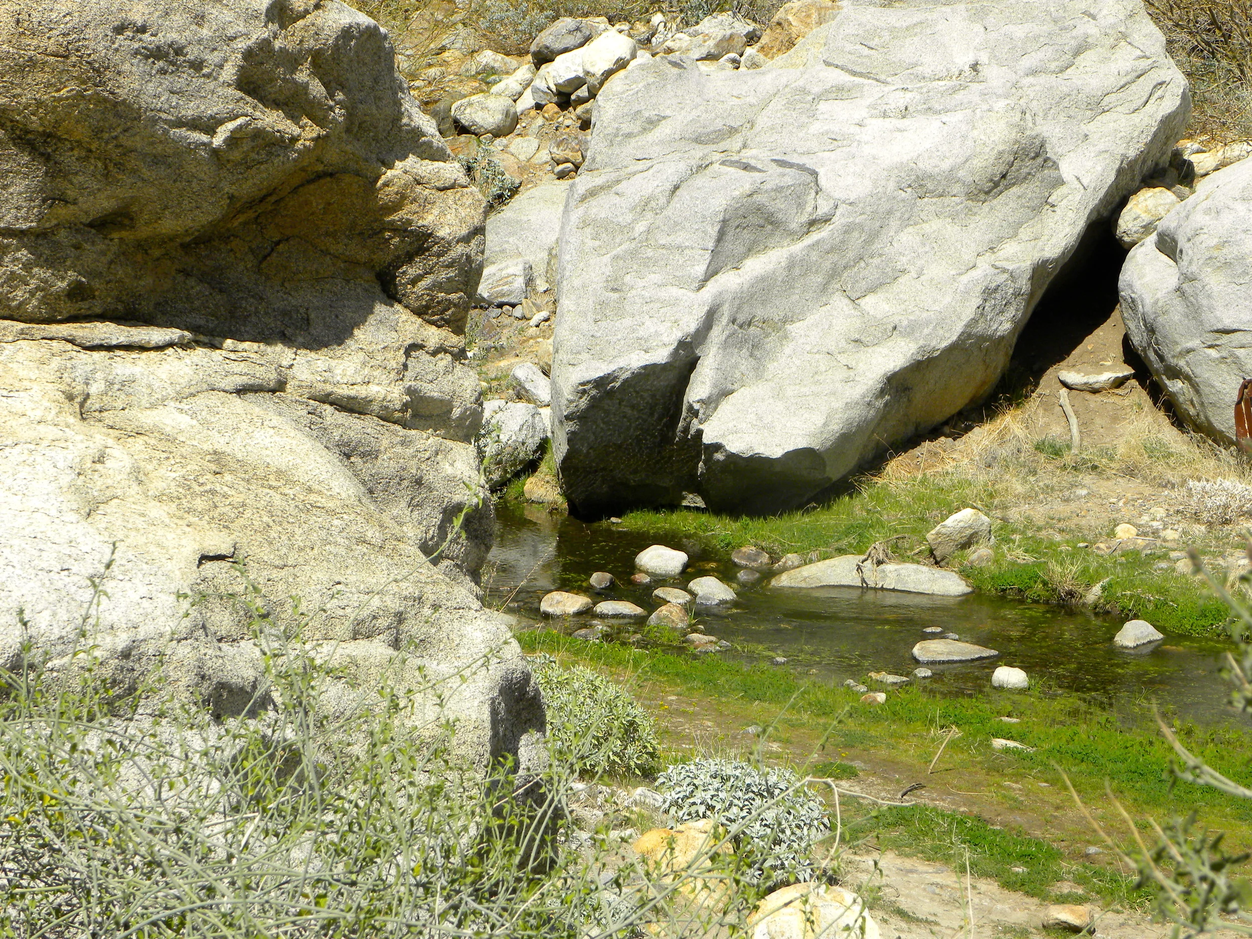 DSCN2032XXSMx 29.JPG