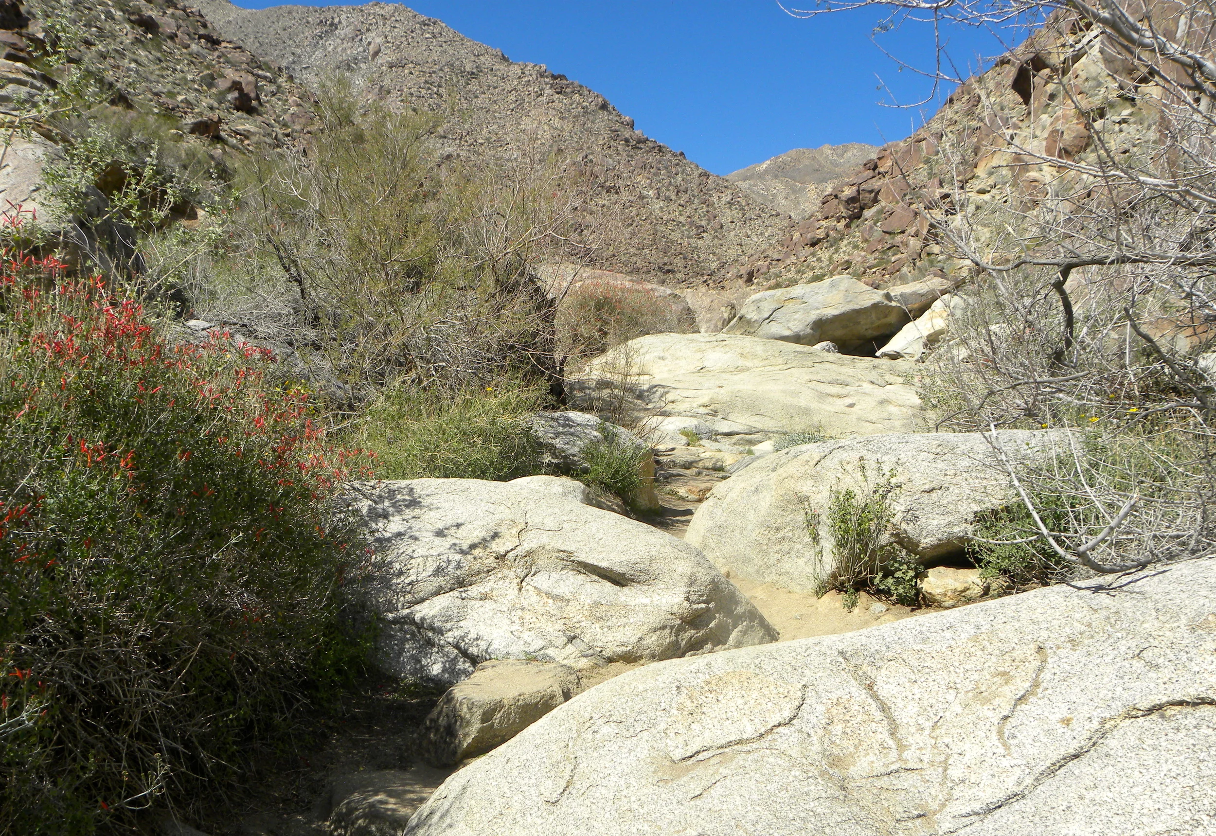 DSCN2032XXSMx 28.JPG