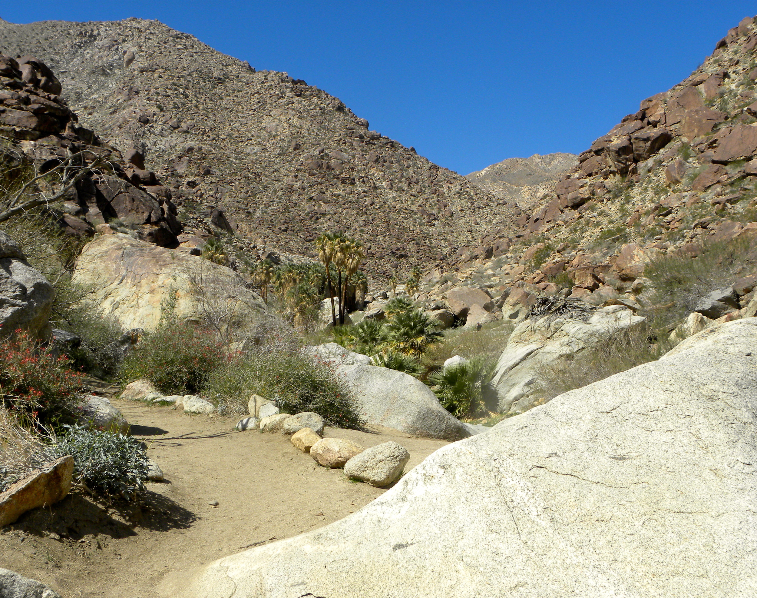 DSCN2032XXSMx 31.JPG