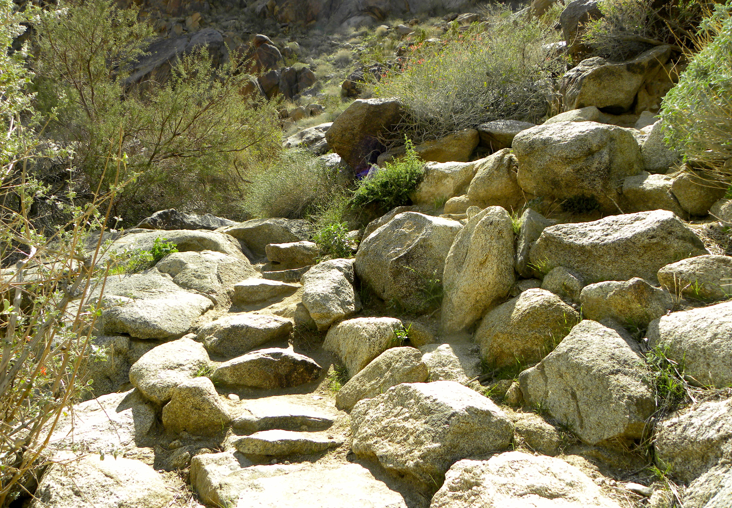 DSCN2032XXSMx 30.JPG