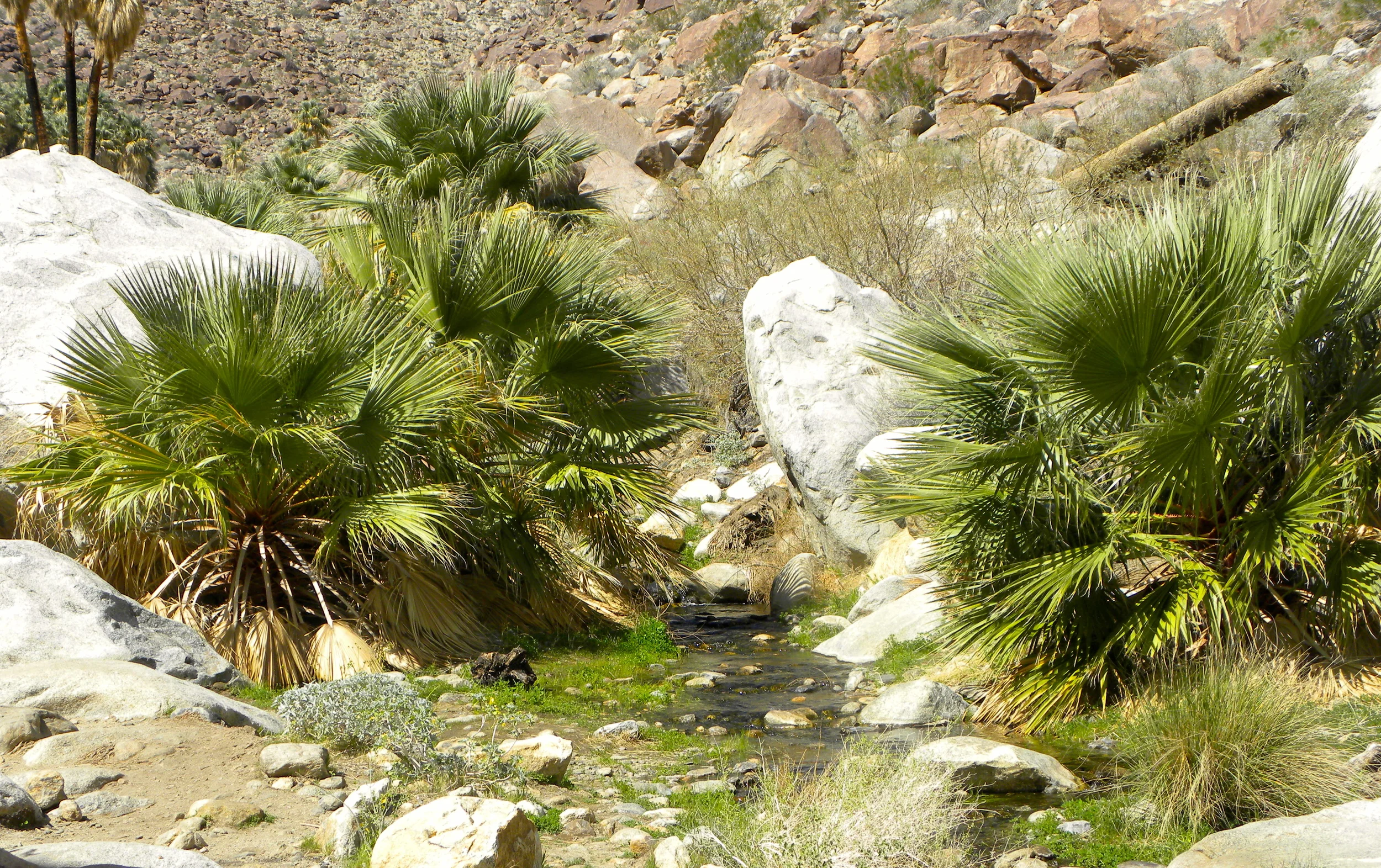 DSCN2032XXSMx 32.JPG