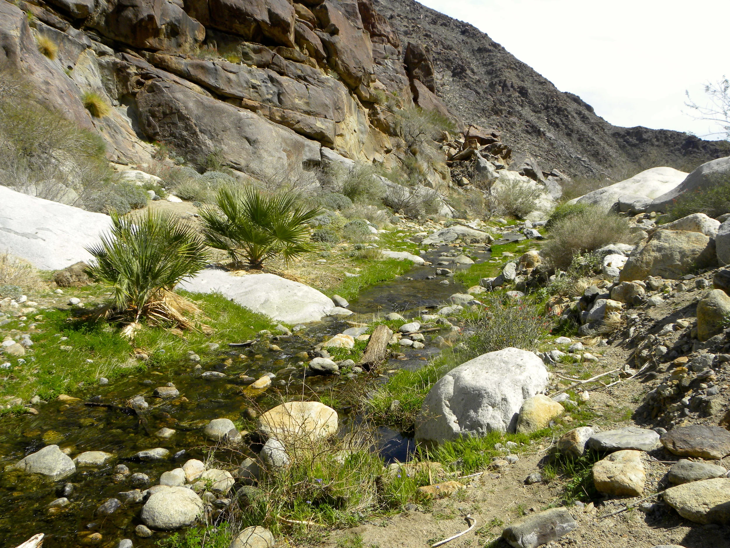 DSCN2032XXSMx 33.JPG