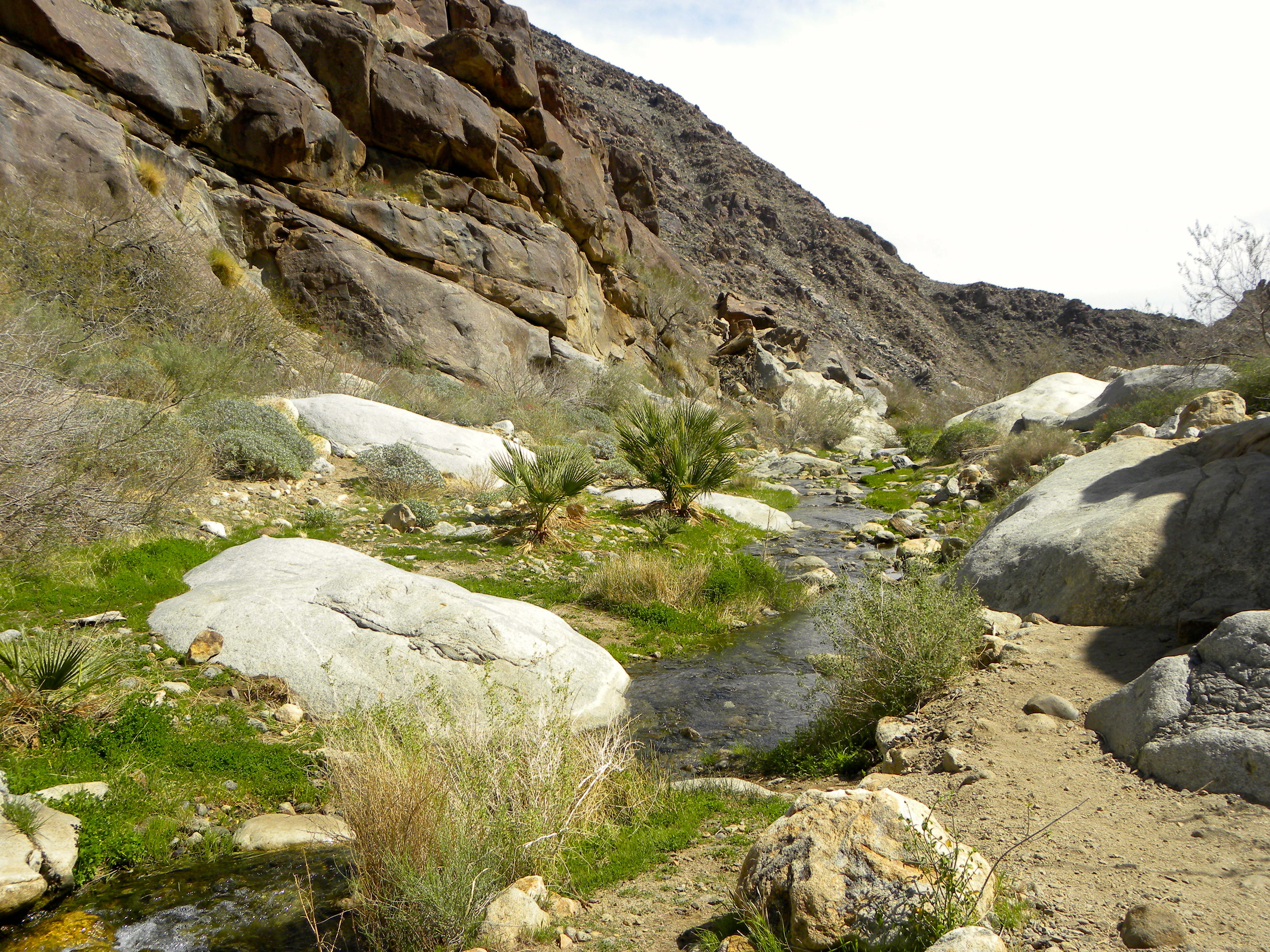 DSCN2032XXSMx 34.JPG