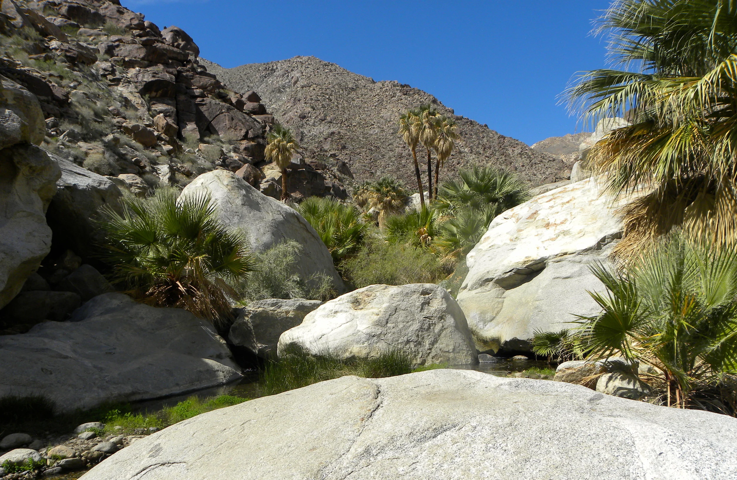 DSCN2032XXSMx 35.JPG