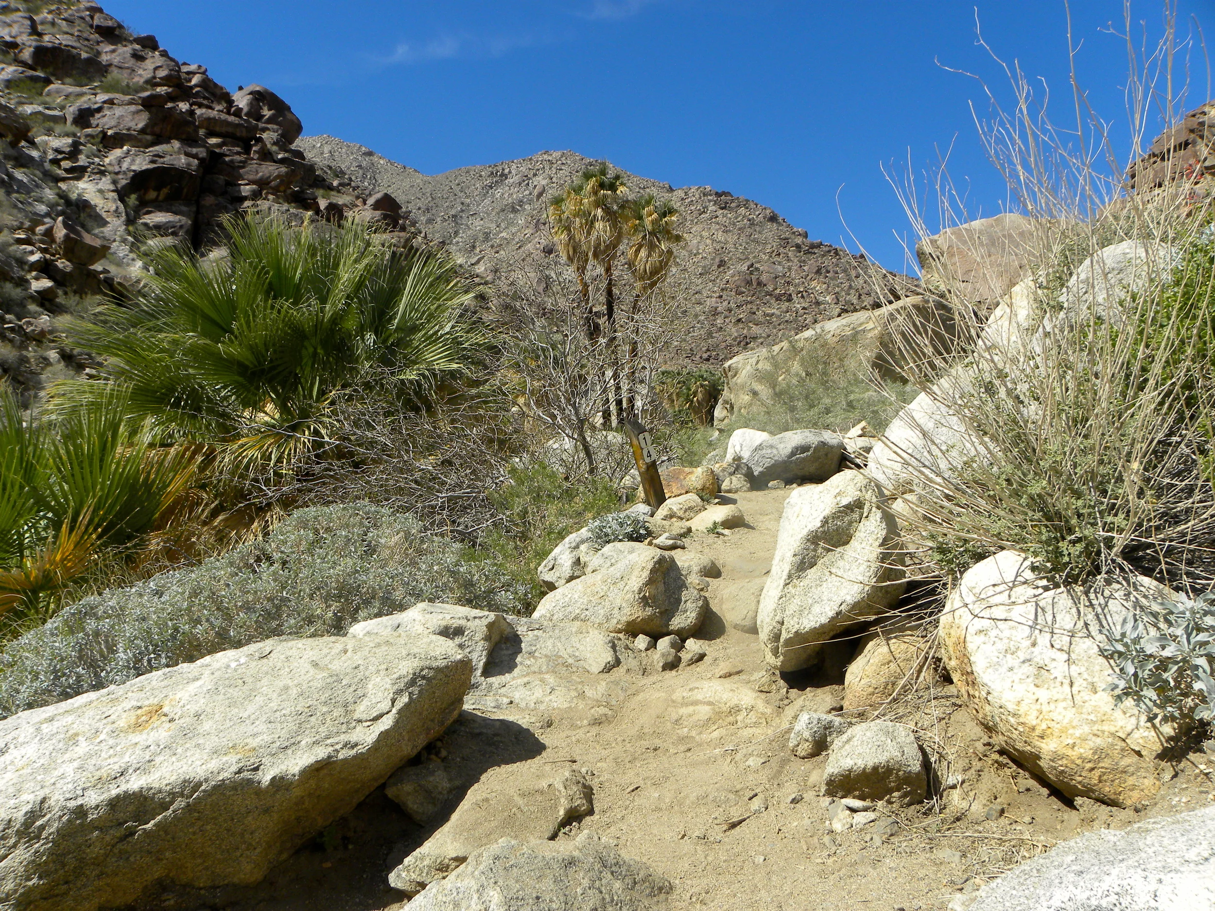 DSCN2032XXSMx 36.JPG