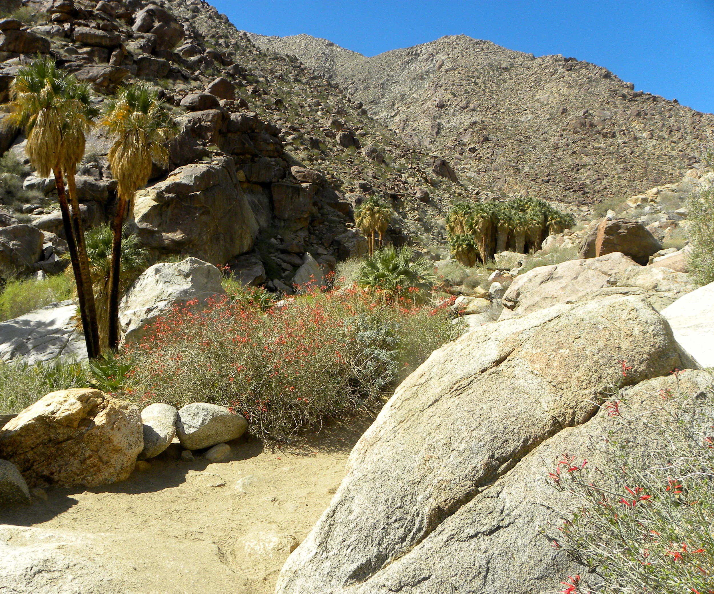 DSCN2032XXSMx 37.JPG