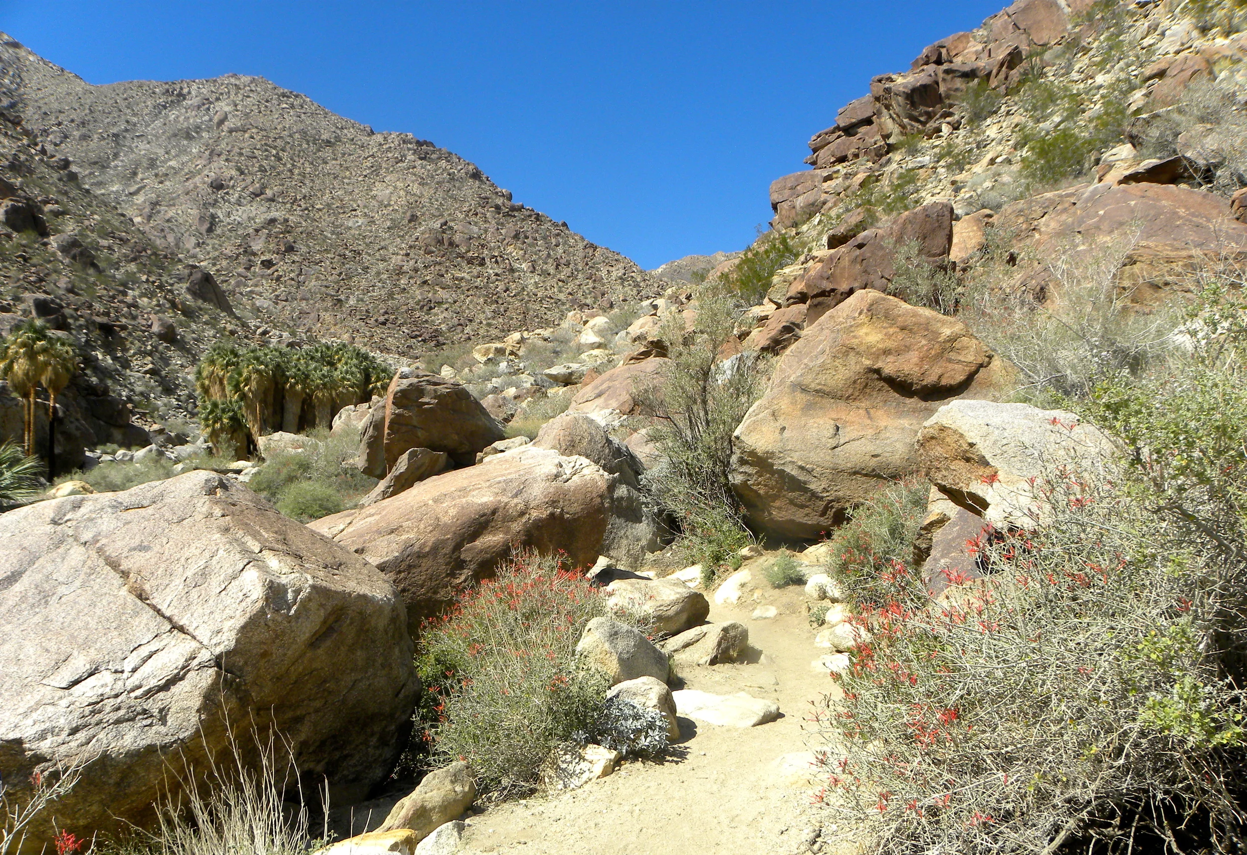 DSCN2032XXSMx 38.JPG