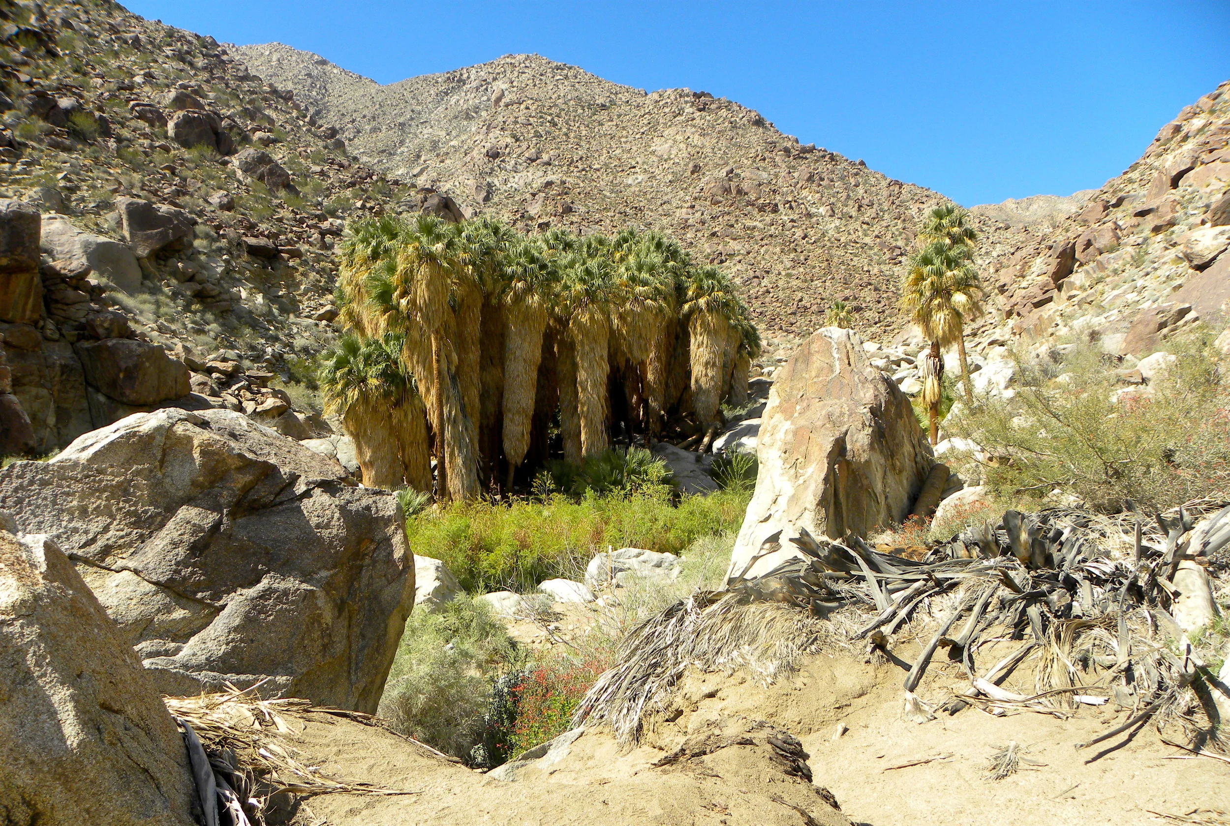 DSCN2032XXSMx 40.JPG