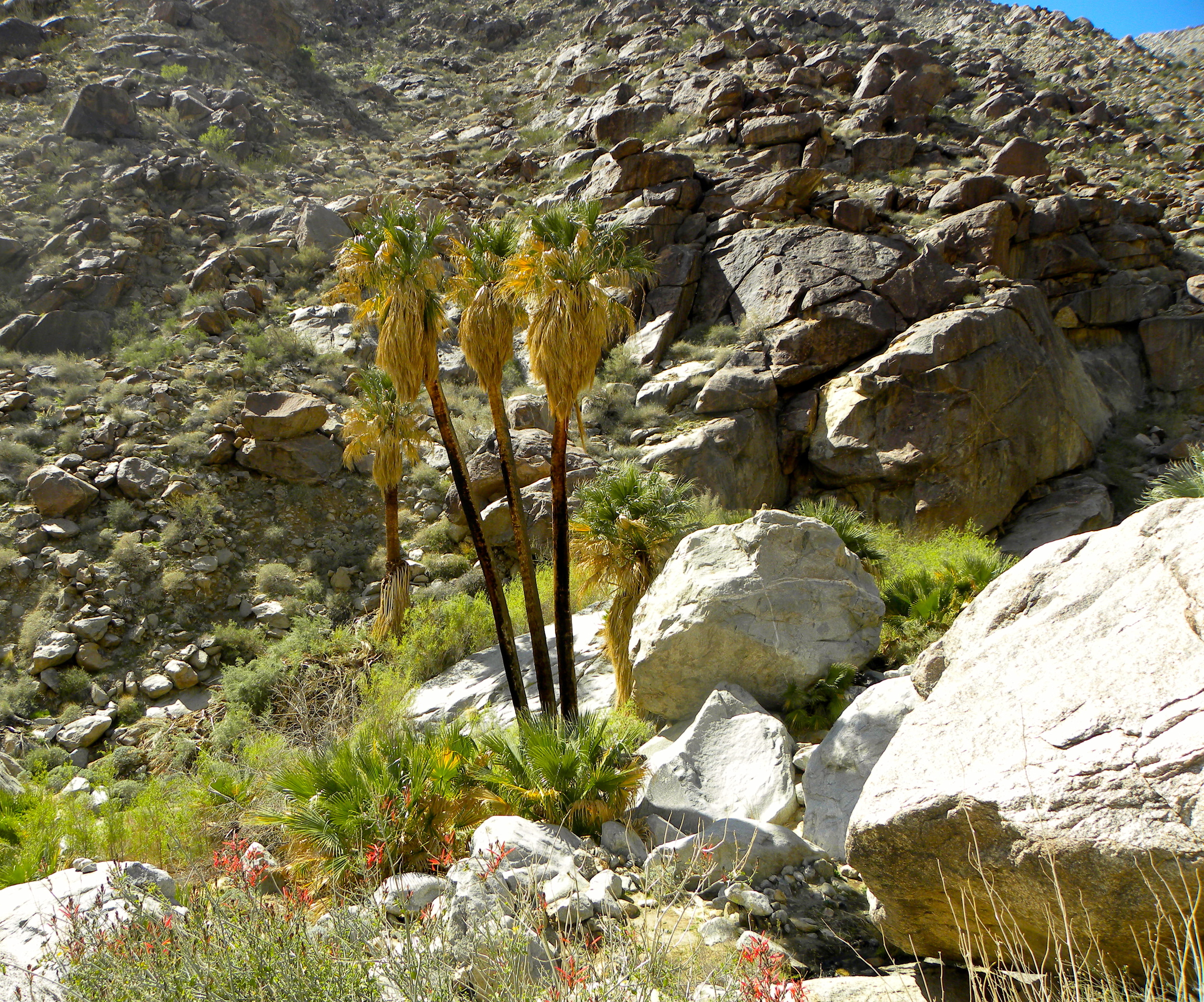 DSCN2032XXSMx 39.JPG