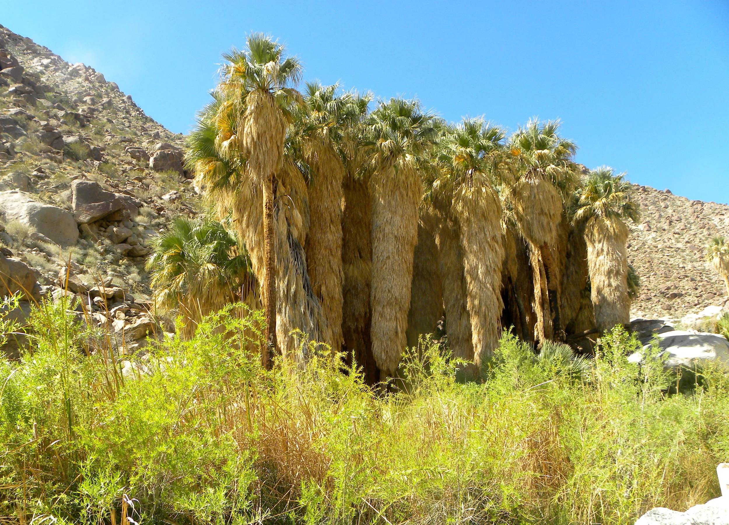 DSCN2032XXSMx 41.JPG