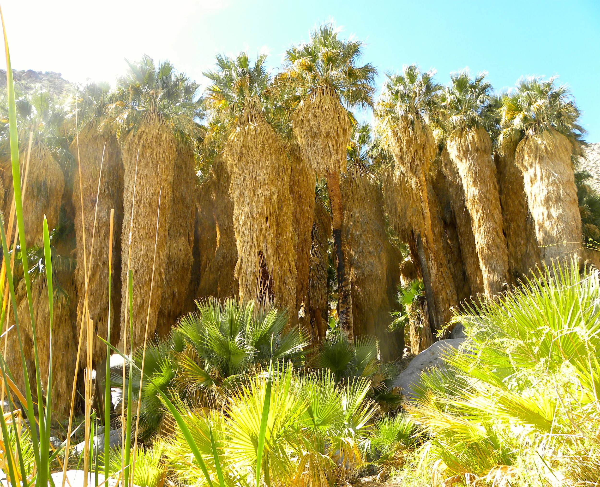 DSCN2032XXSMx 43.JPG