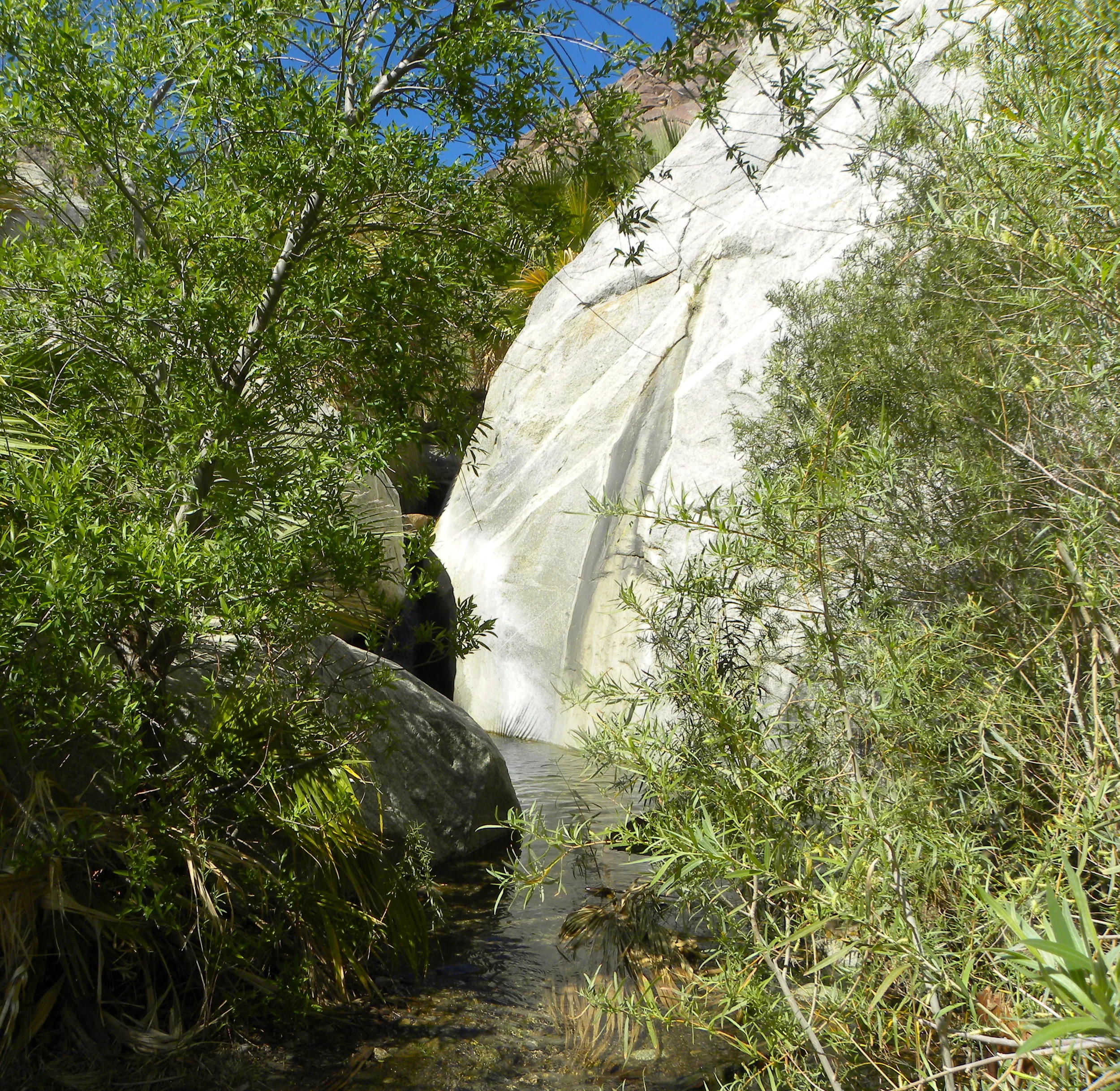 DSCN2032XXSMx 44.JPG